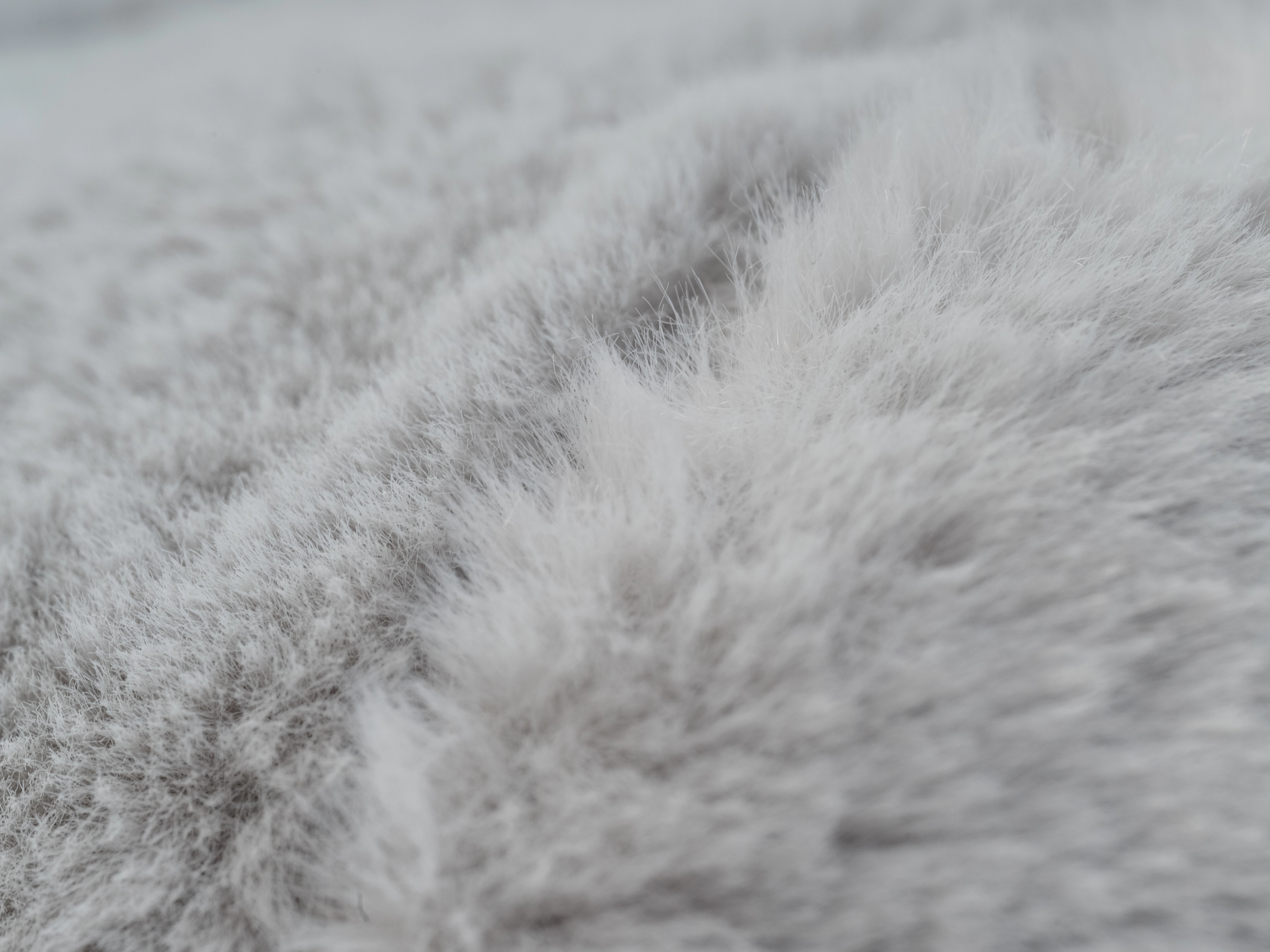 LunaLounge von TrendPet