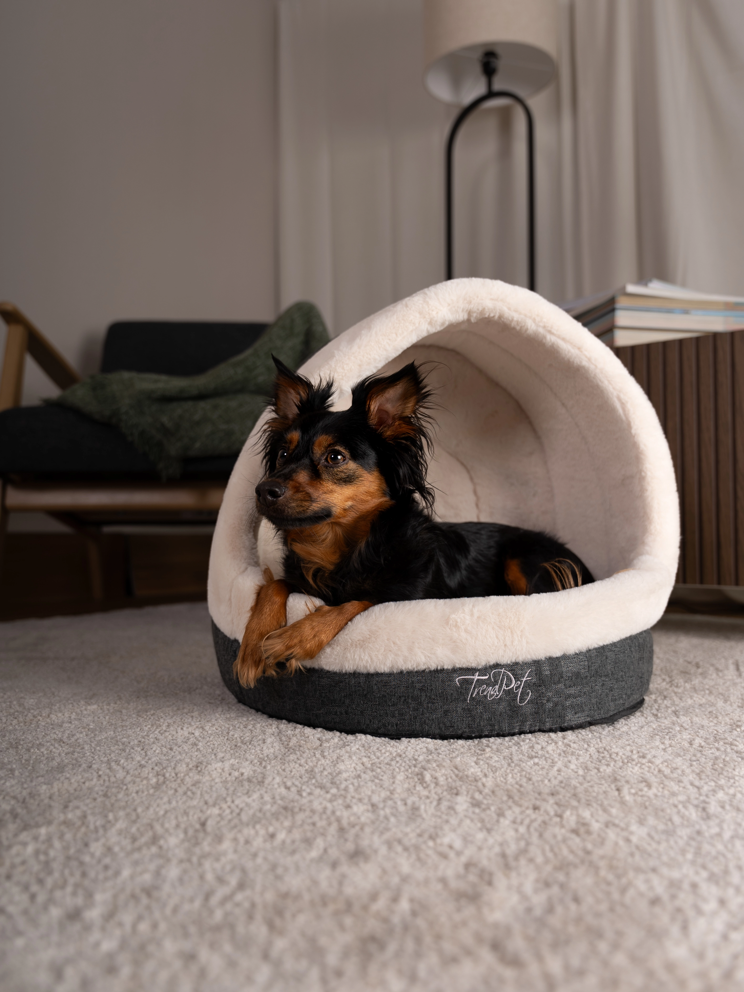 Hund liegt in der LunaHome