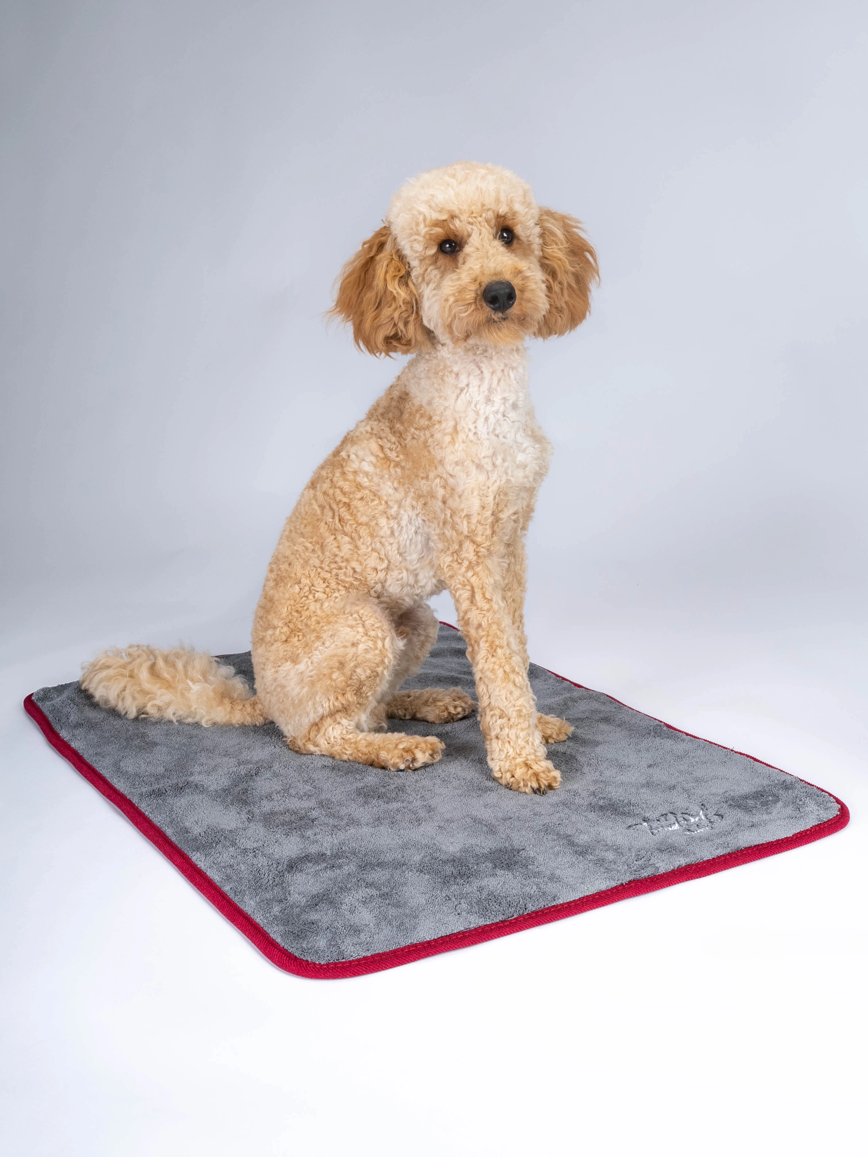 Rubx Kuscheldecke und Trocknungsdecke von TrendPet