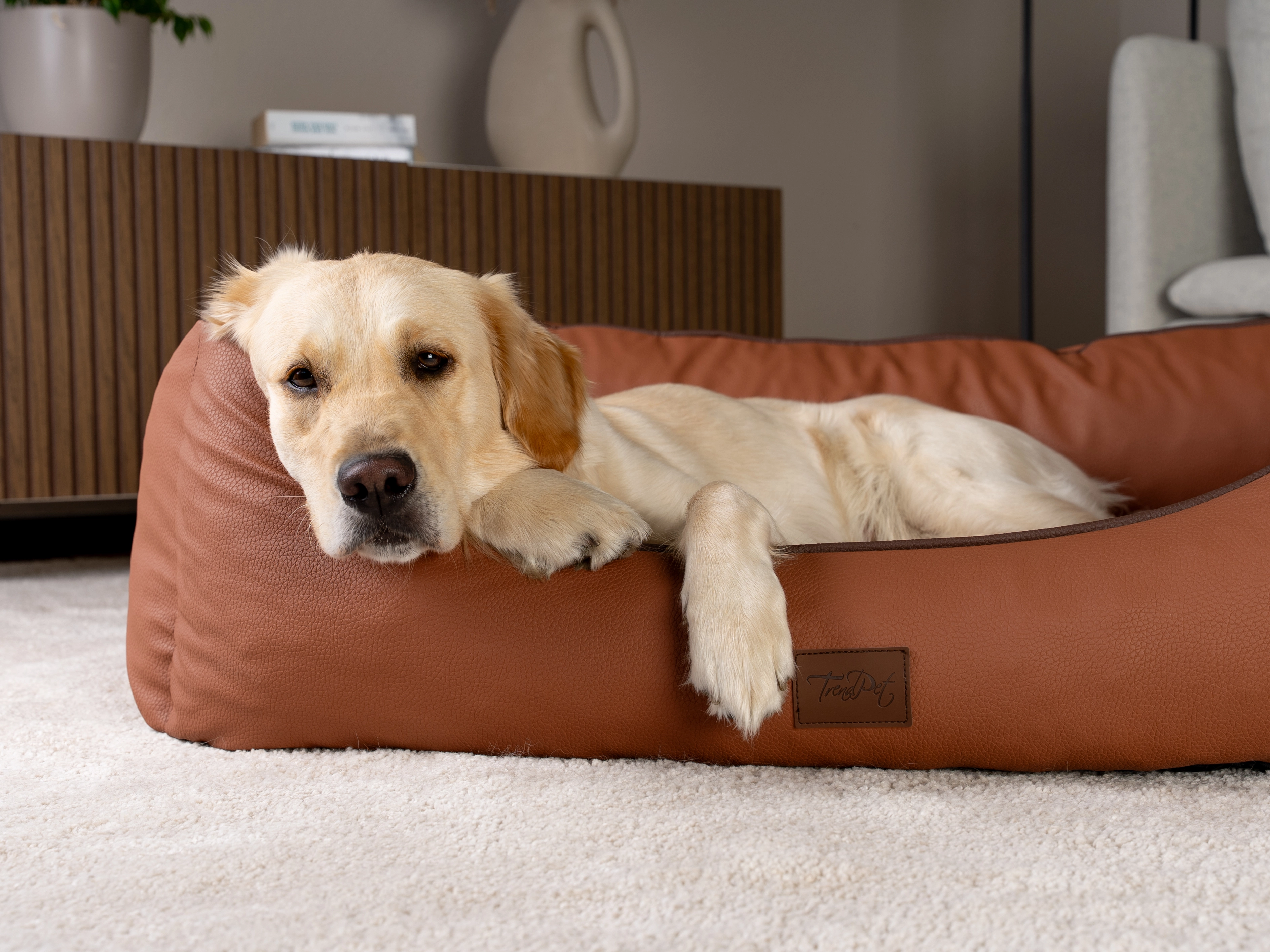 Hund liegt im TrendPet Bett Runa