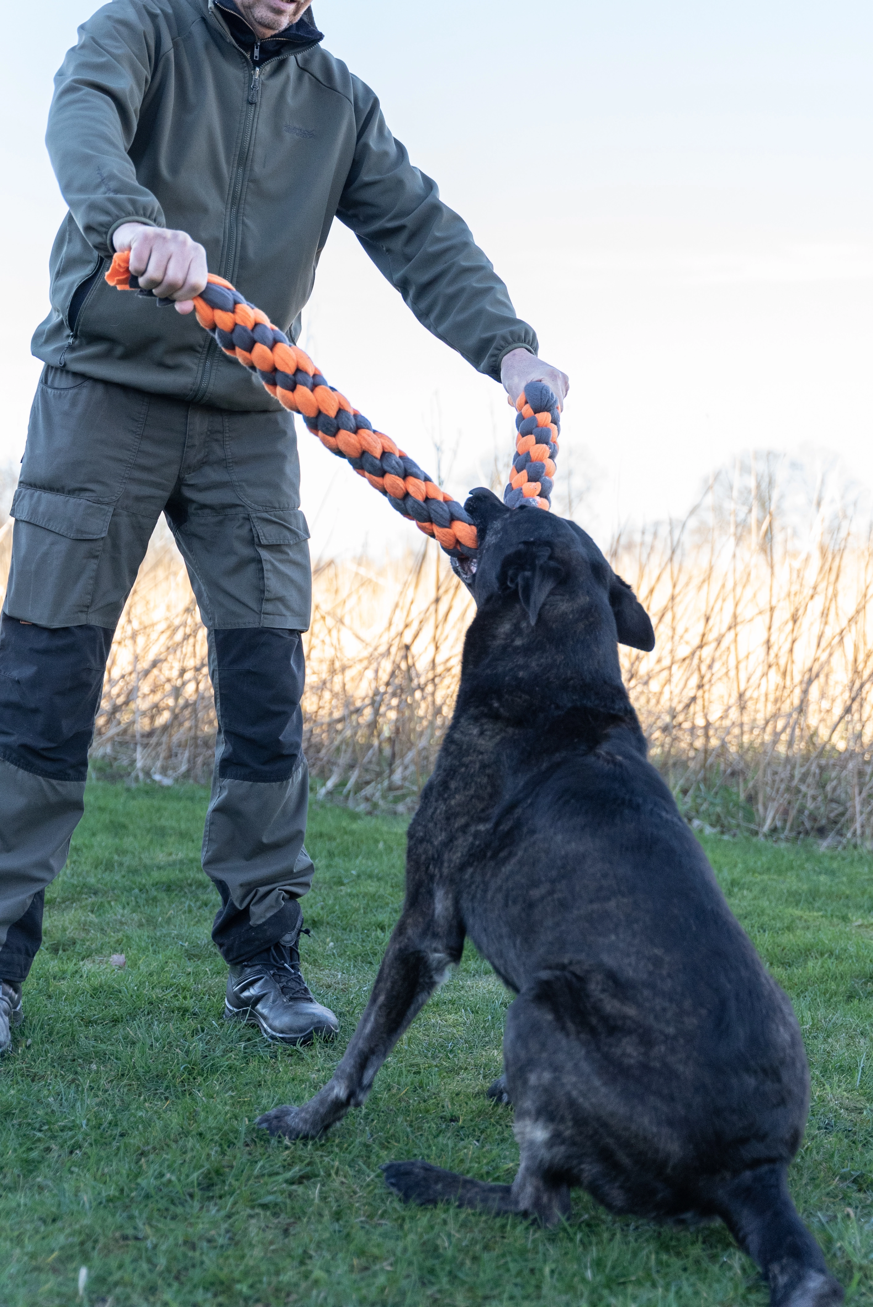 Zergel Hundespielzeug von TrendPet