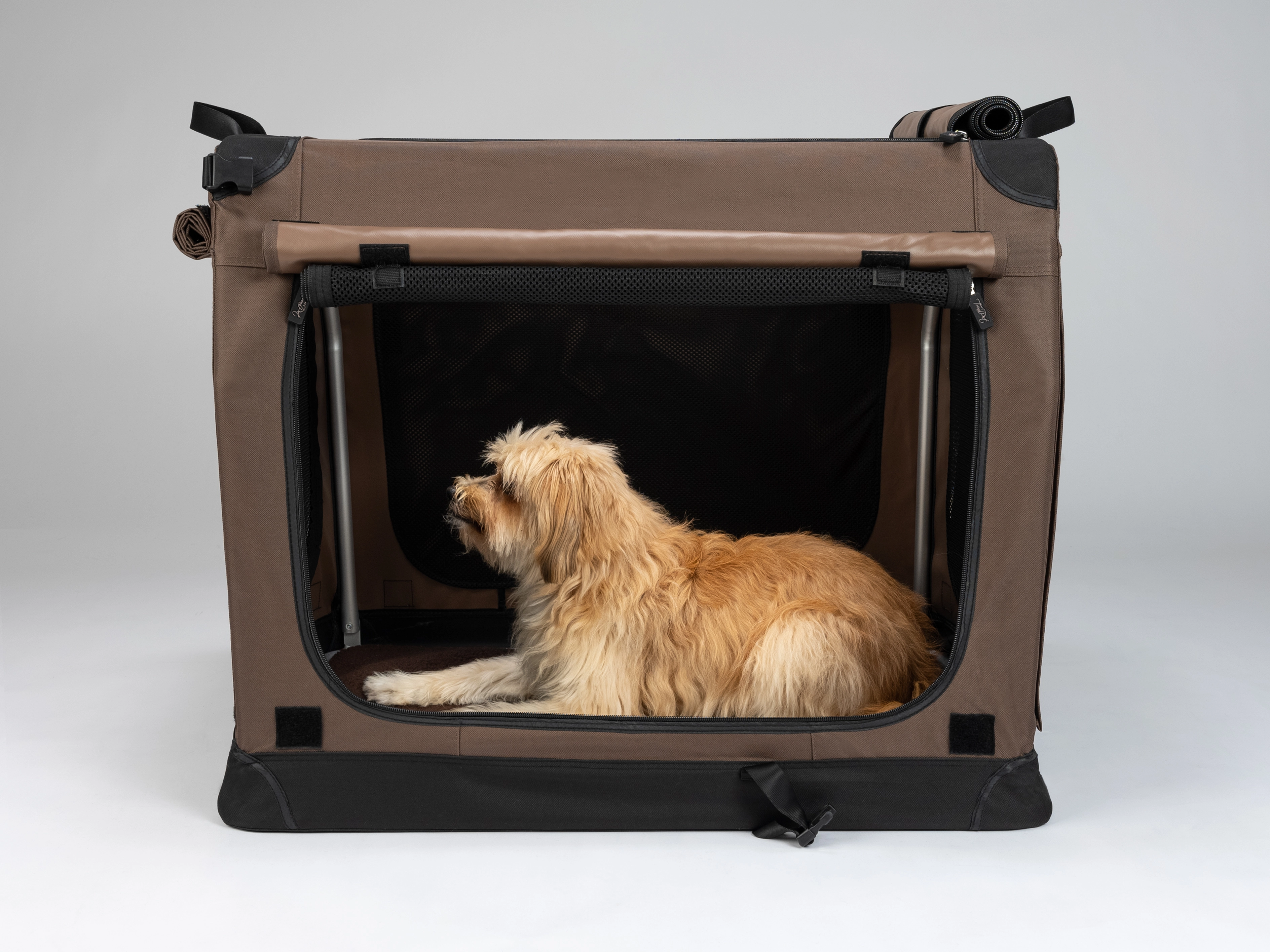 TPX-Hundebox von TrendPet