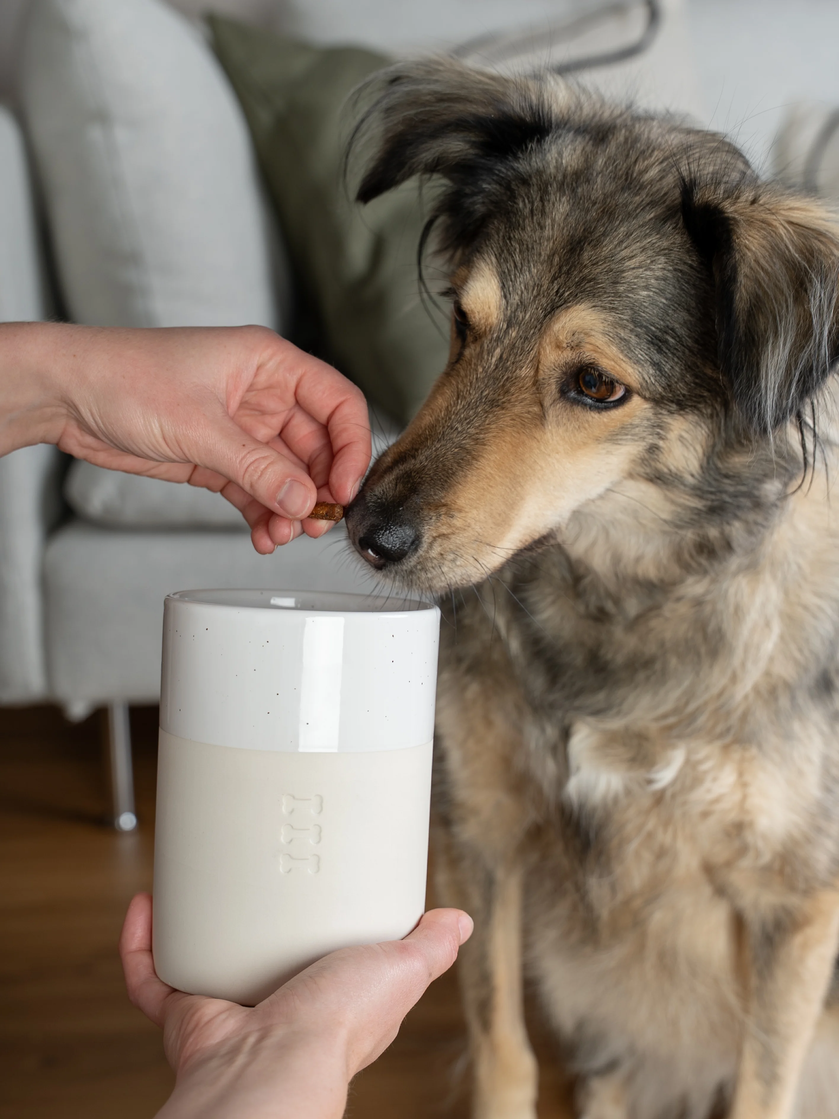 Snackdose Clay von TrendPet