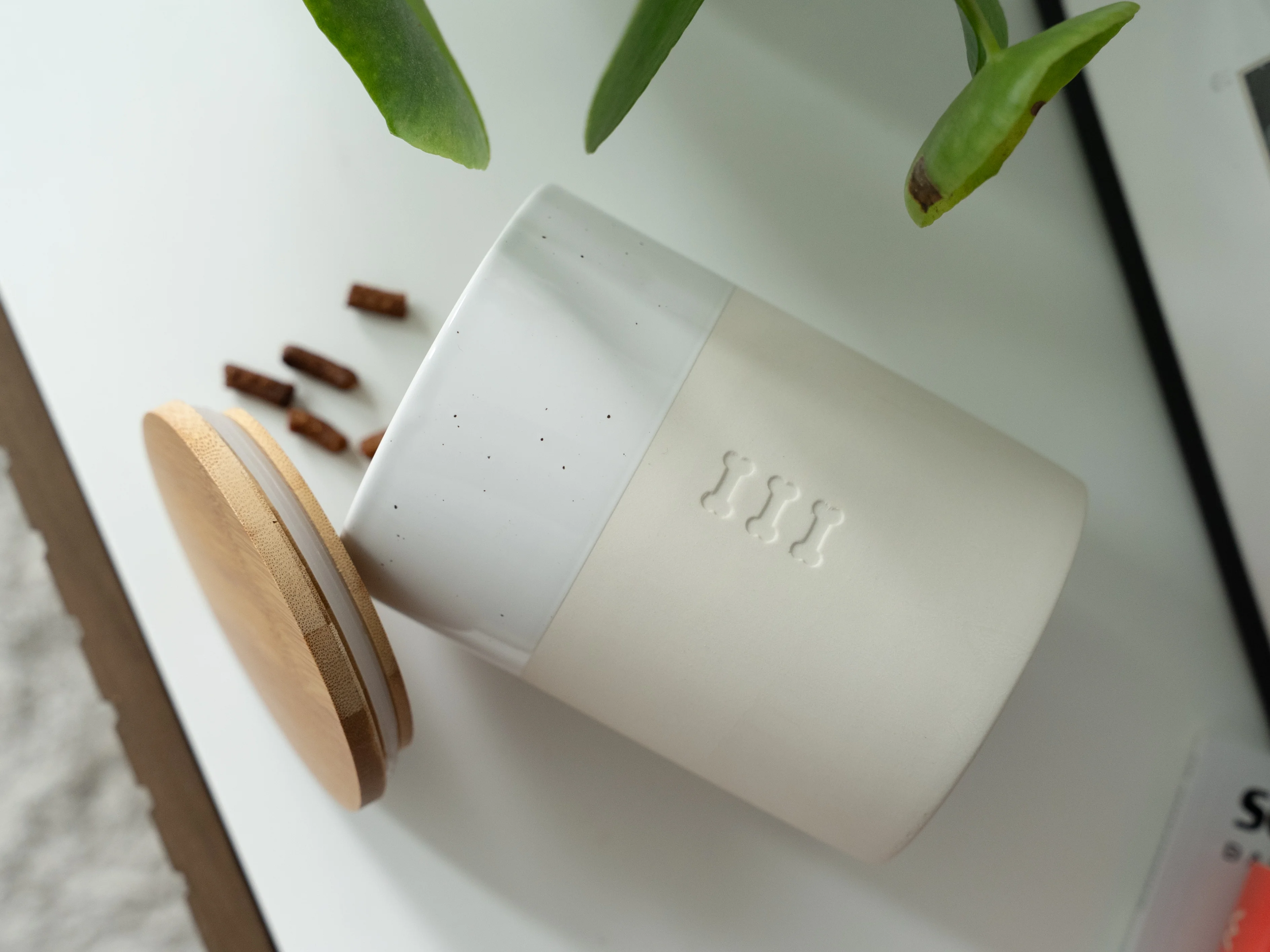 Snackdose Clay von TrendPet