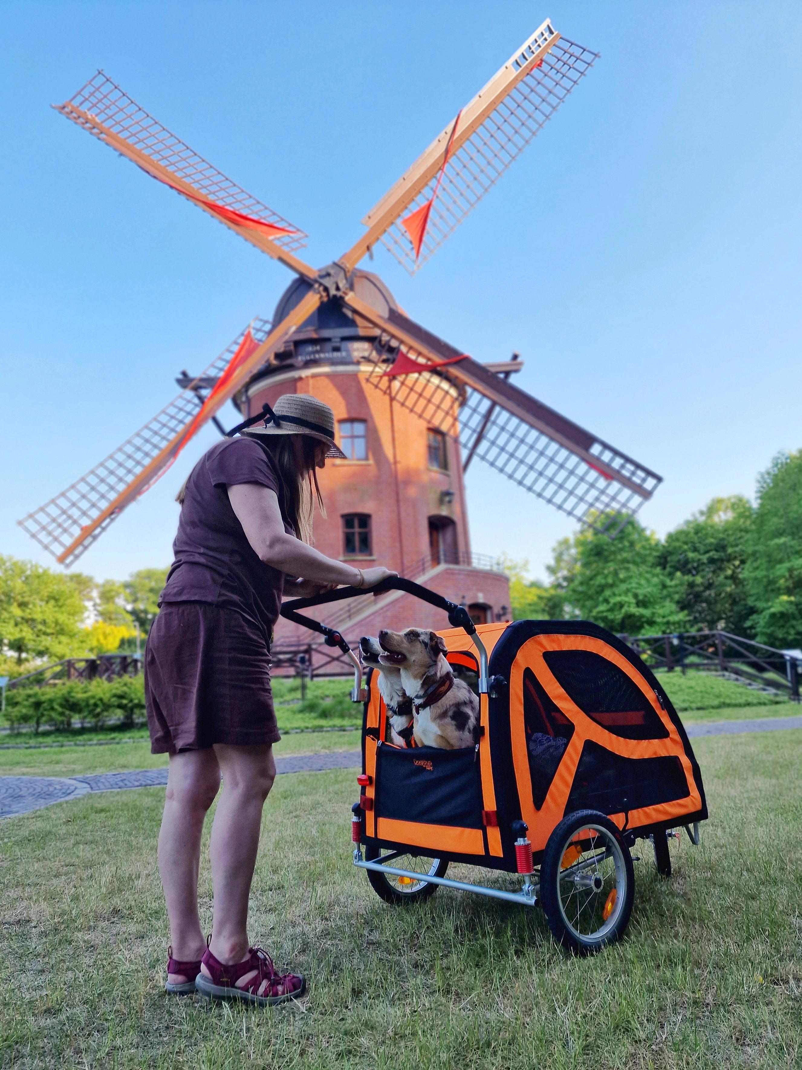 Stroller Kit TrendPet DogBus Fahrradanhänger für Hunde