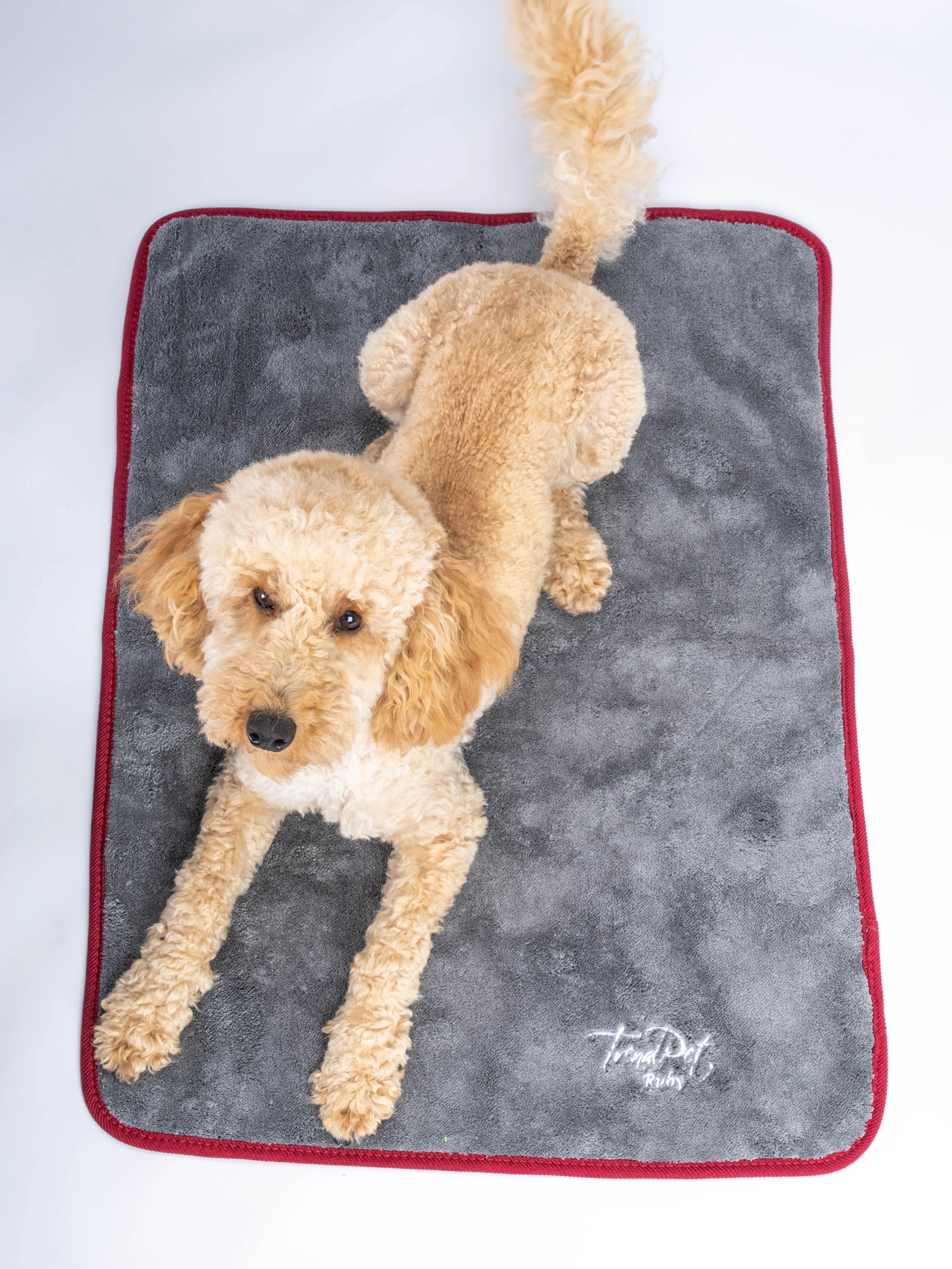 Rubx Kuscheldecke und Trocknungsdecke von TrendPet