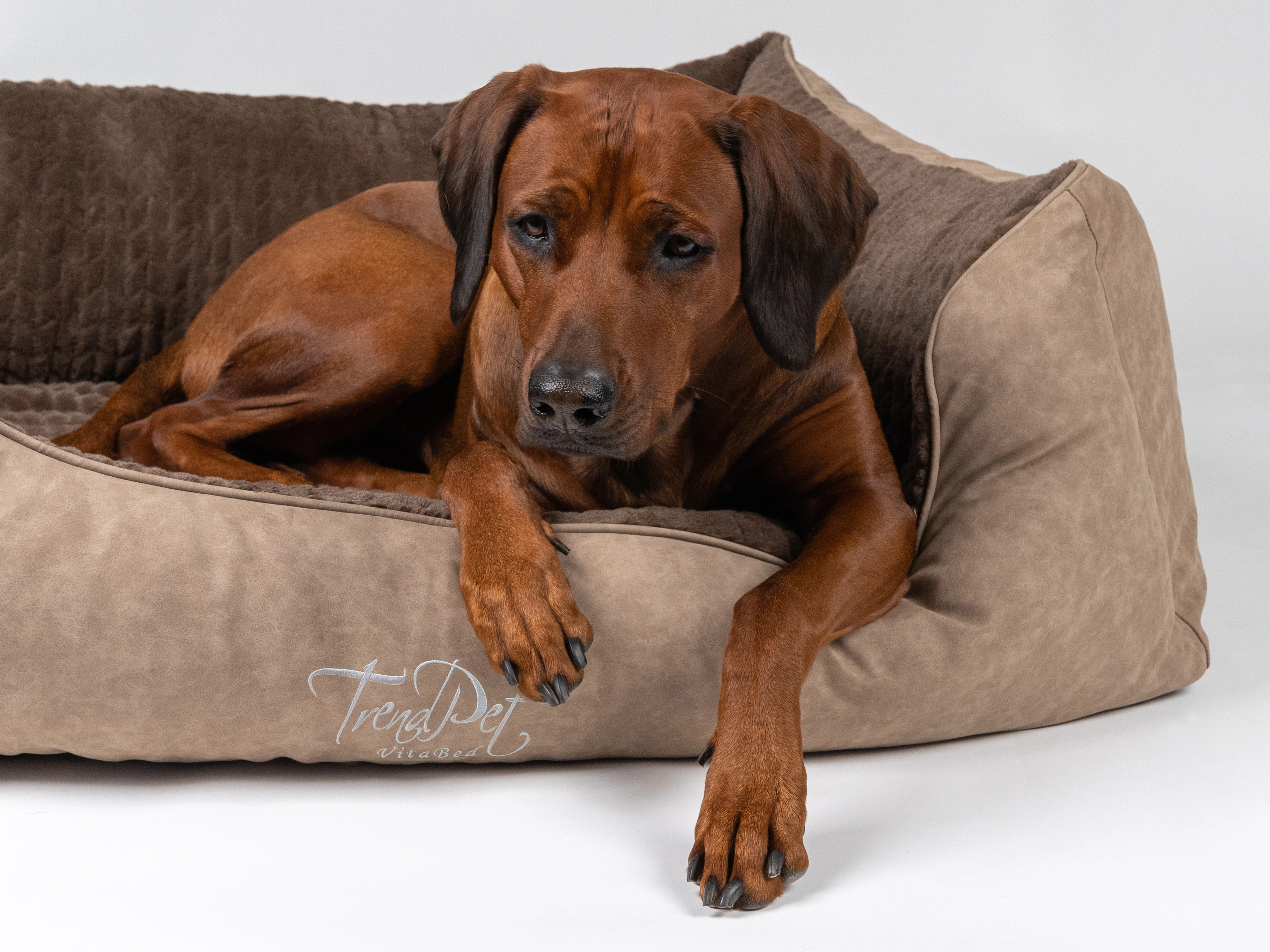 Hundebett VitaBed Style von TrendPet