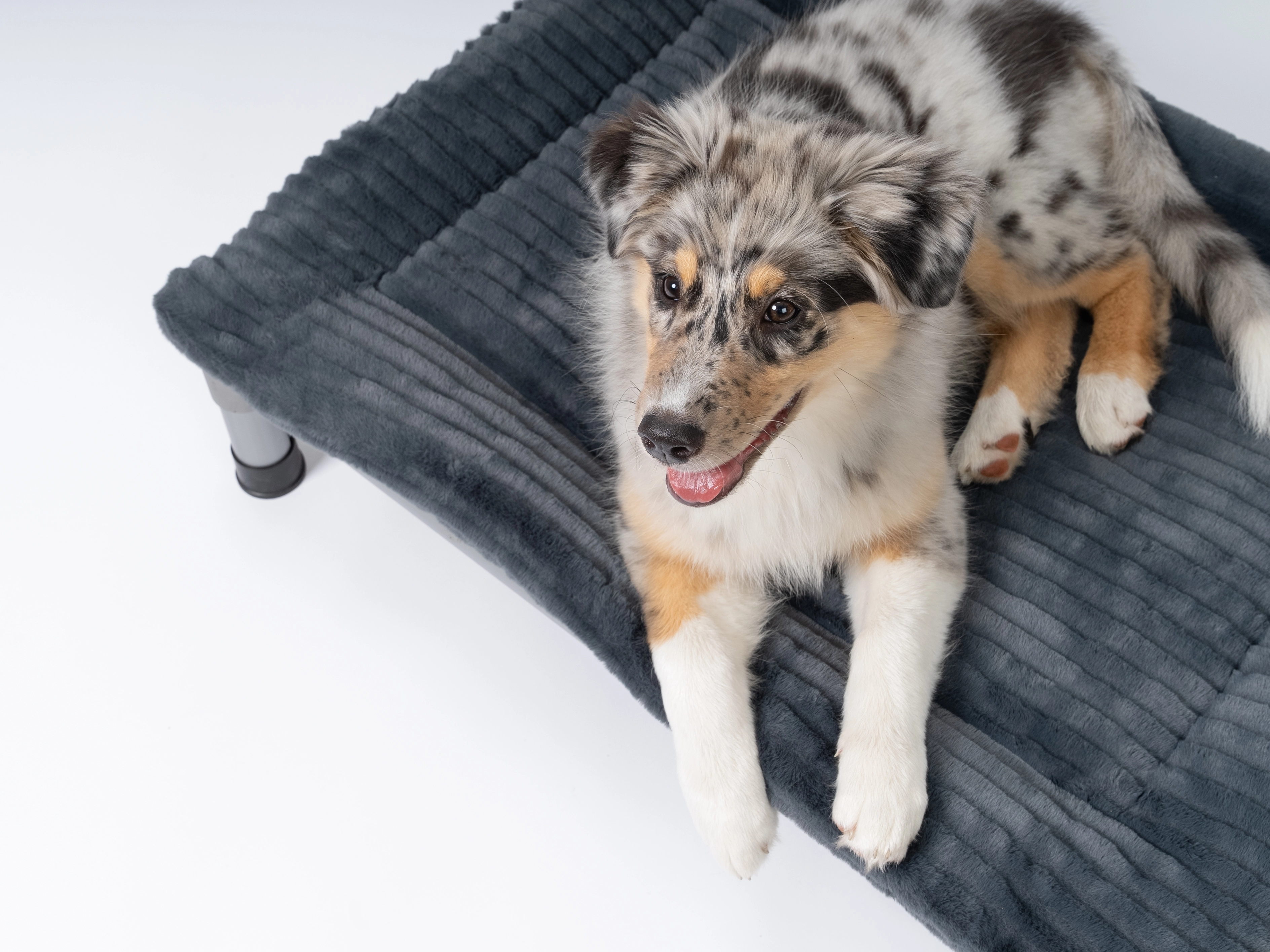Harmony kuschelige Wendedecke passend zum HighBed von TrendPet für Hunde
