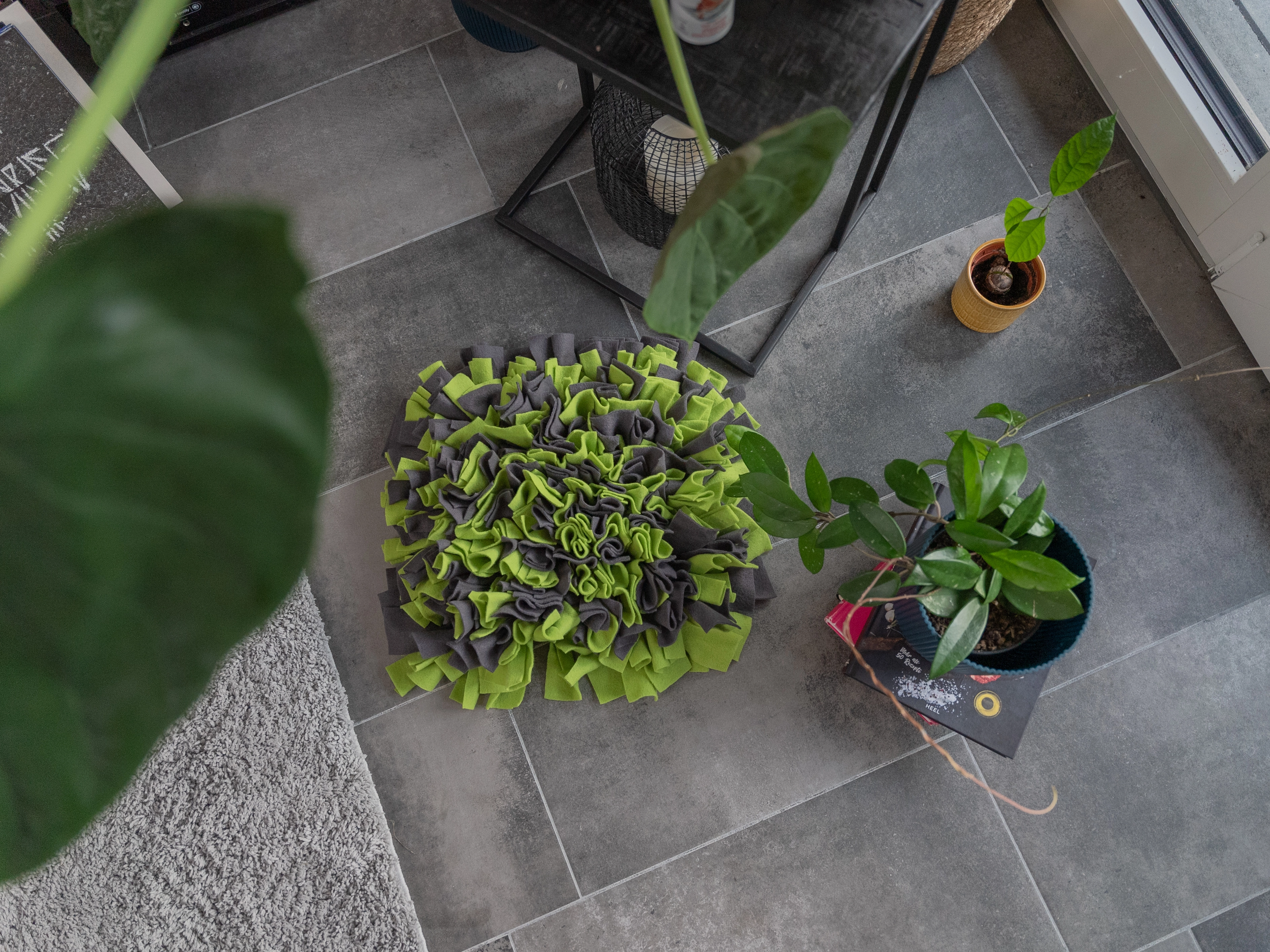 Schnueffelteppich von TrendPet