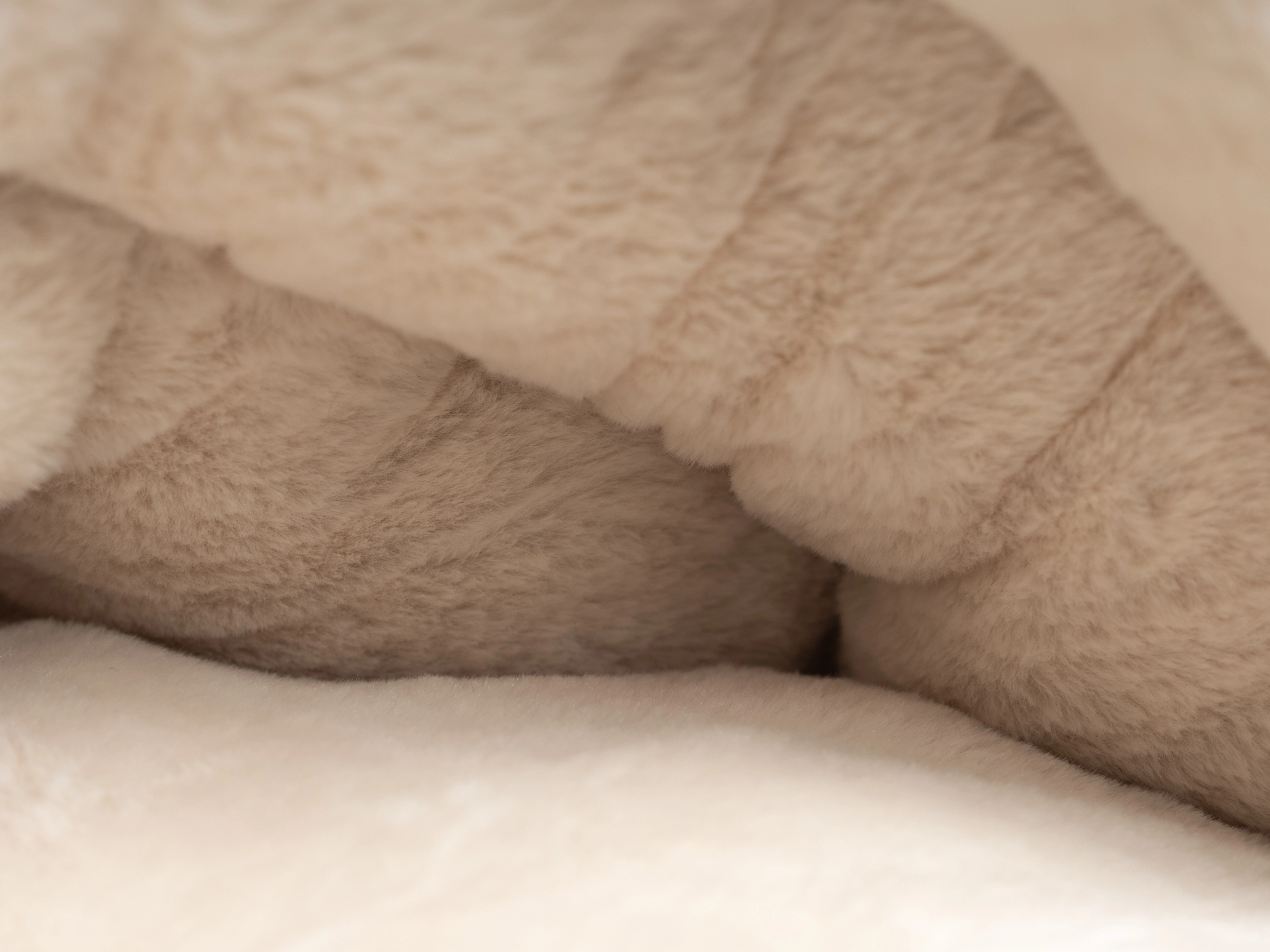 LunaSuite von TrendPet