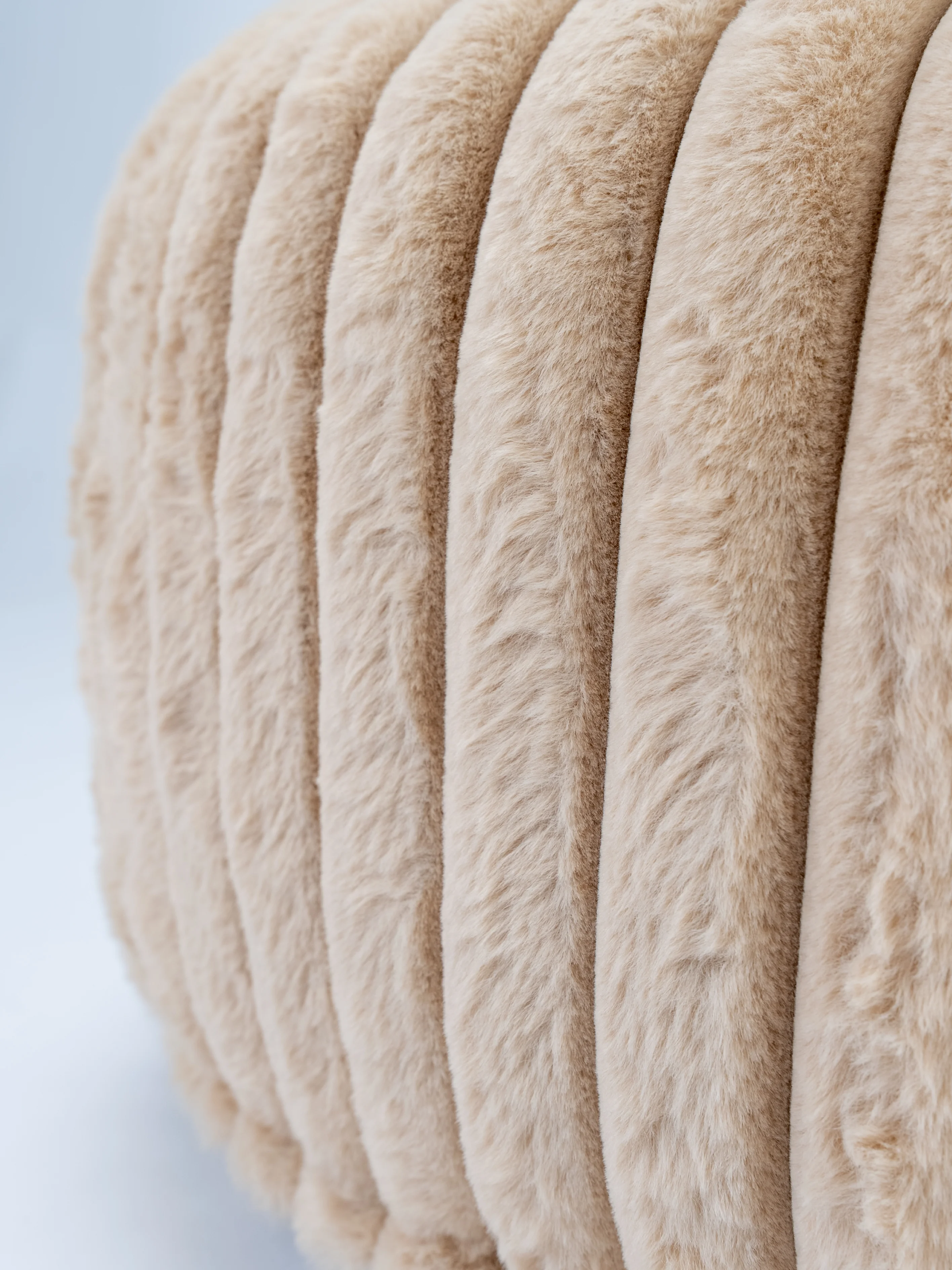 Biscuit Spot von TrendPet