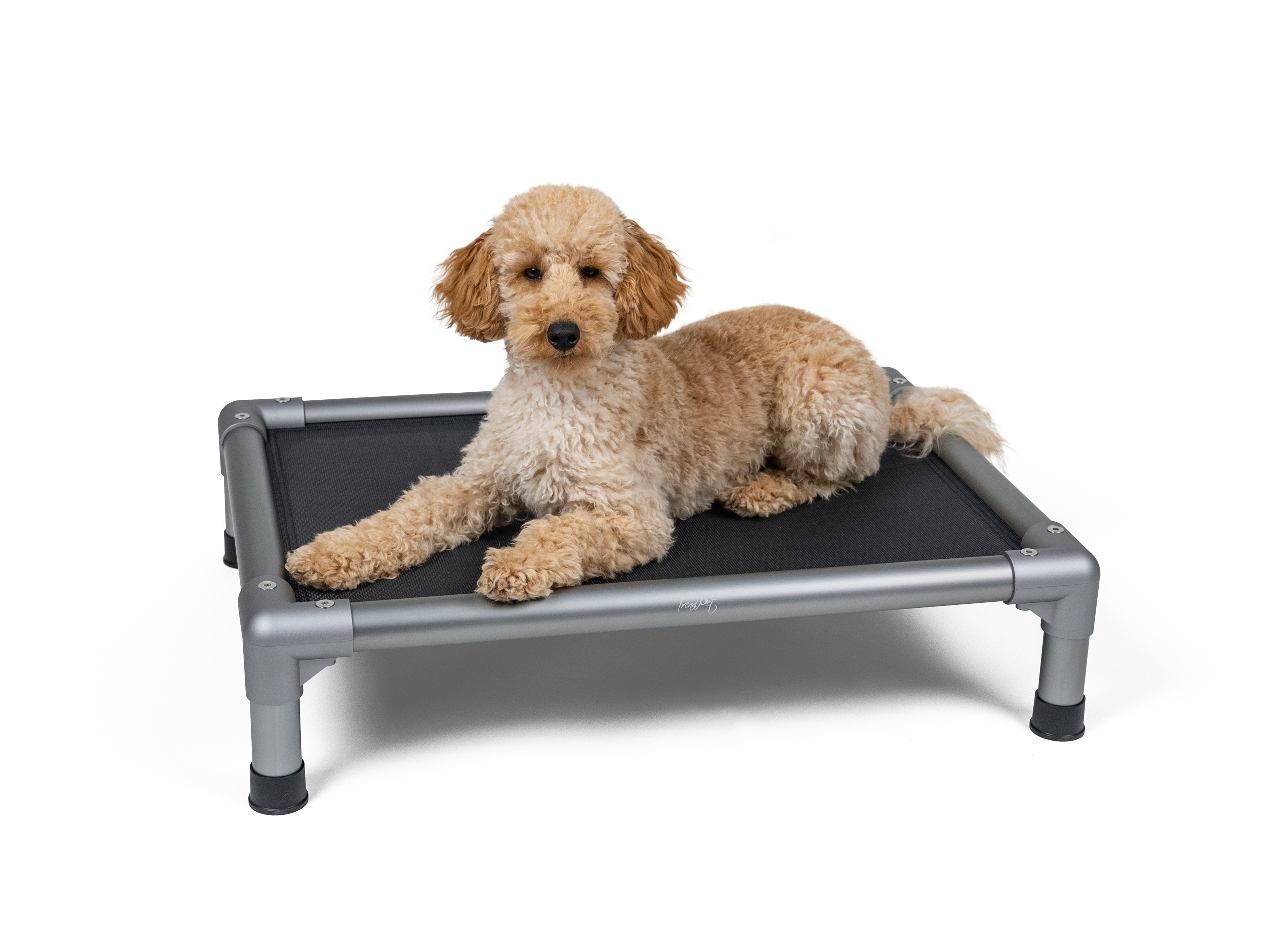 HighBed Hochbett fuer Hunde von TrendPet