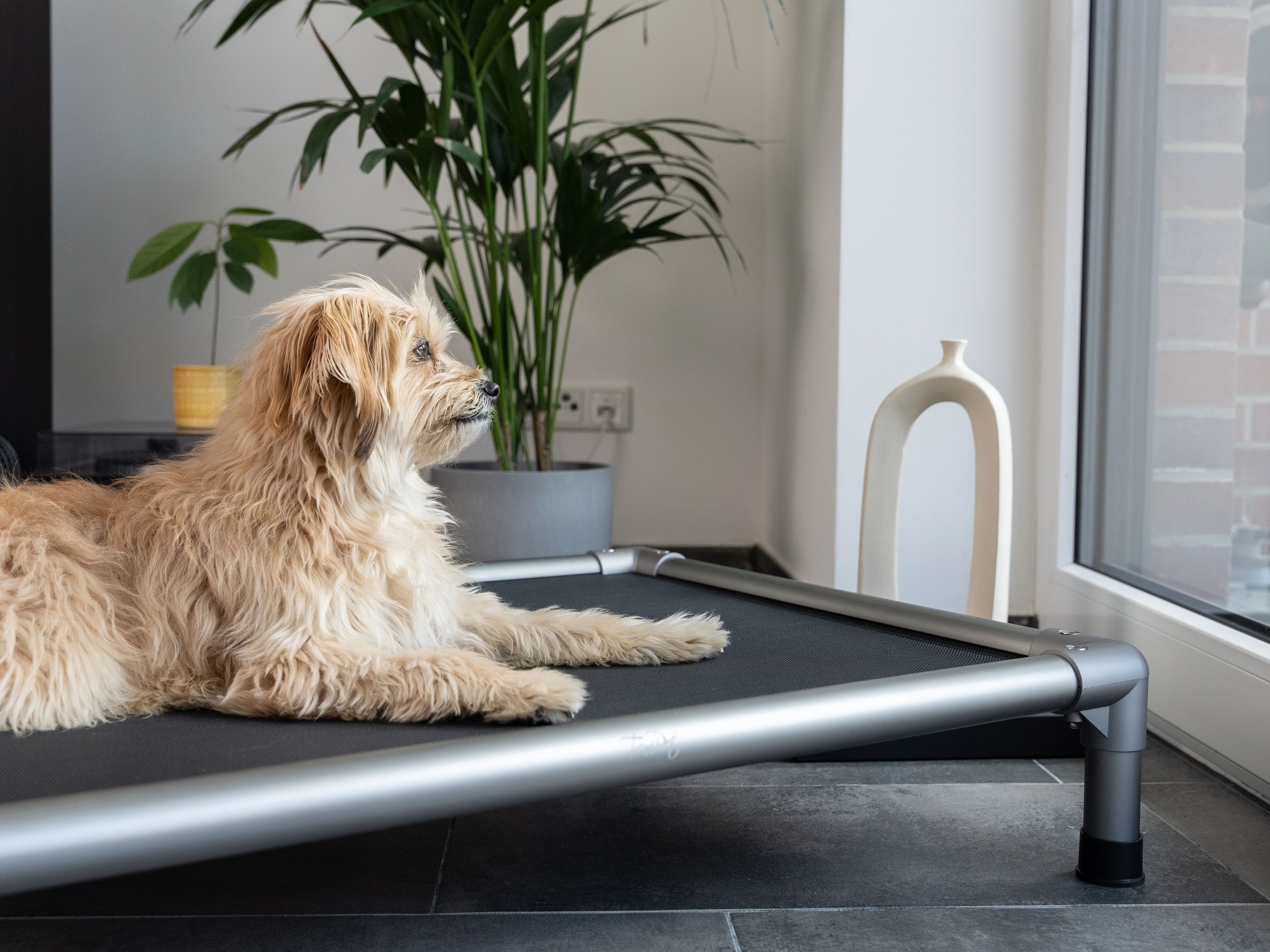 HighBed Hochbett fuer Hunde von TrendPet