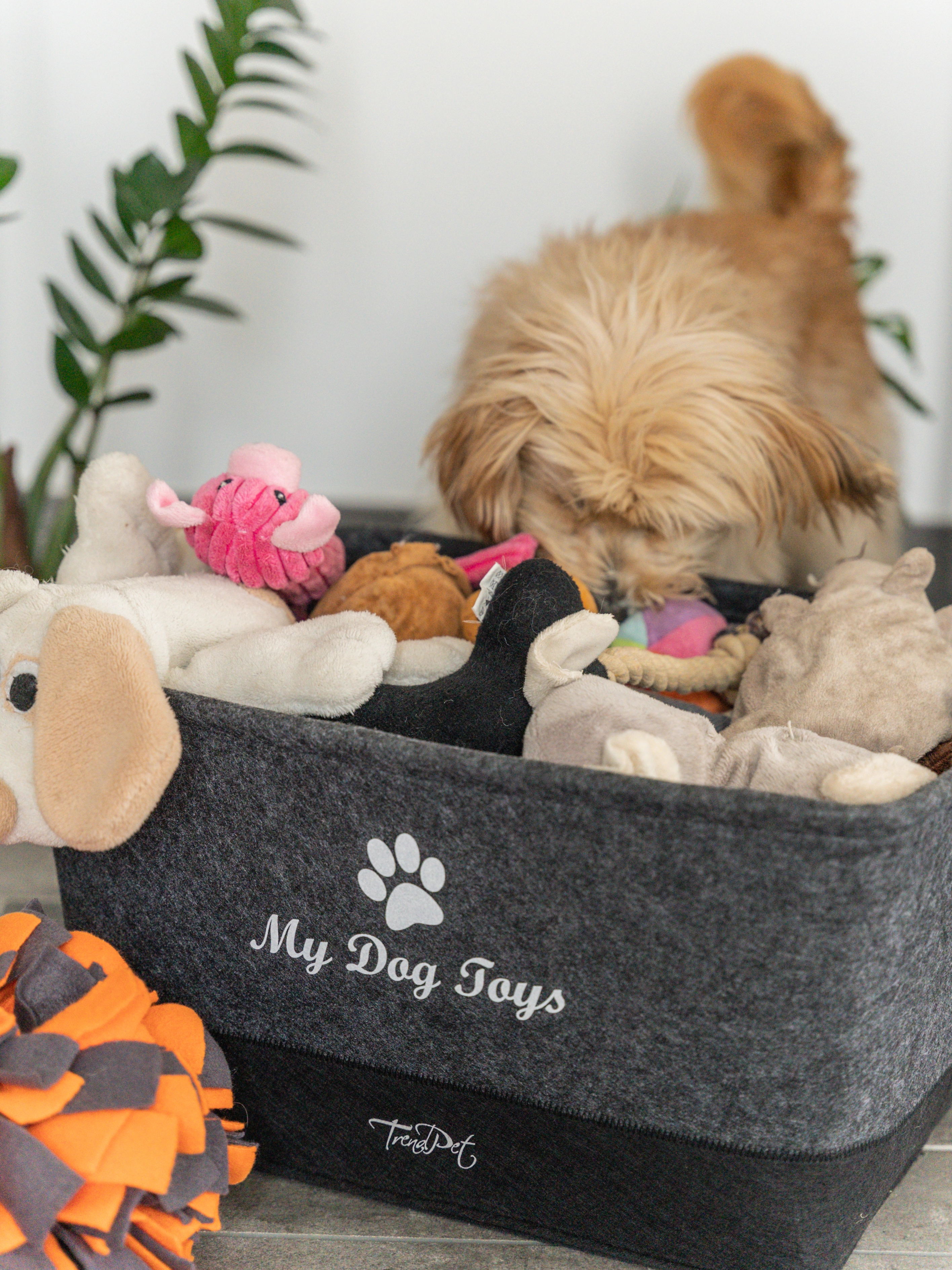 MyDog Toys Spielzeugkoerbchen von TrendPet