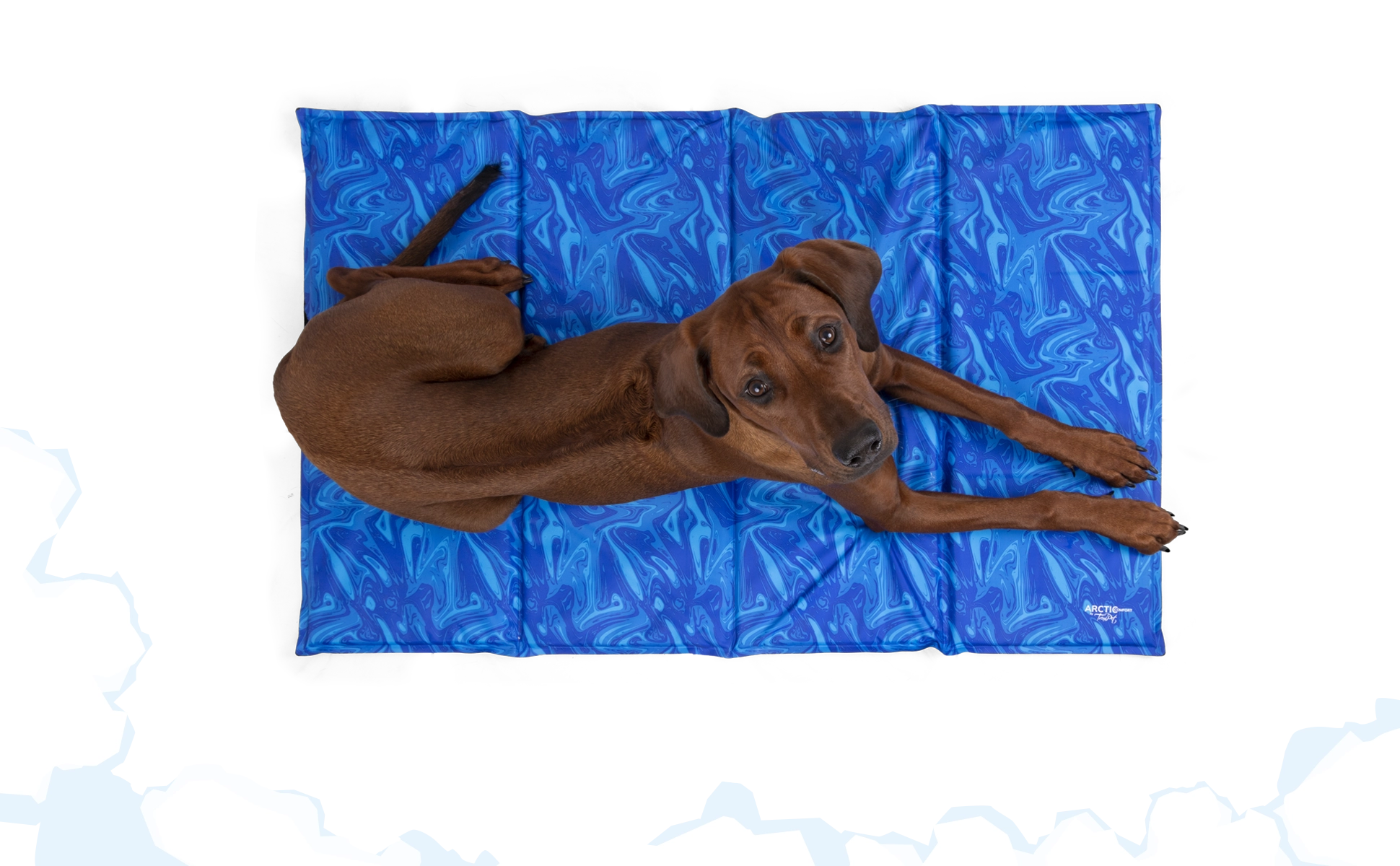 Arctic Comfort Kuehlmatte von TrendPet