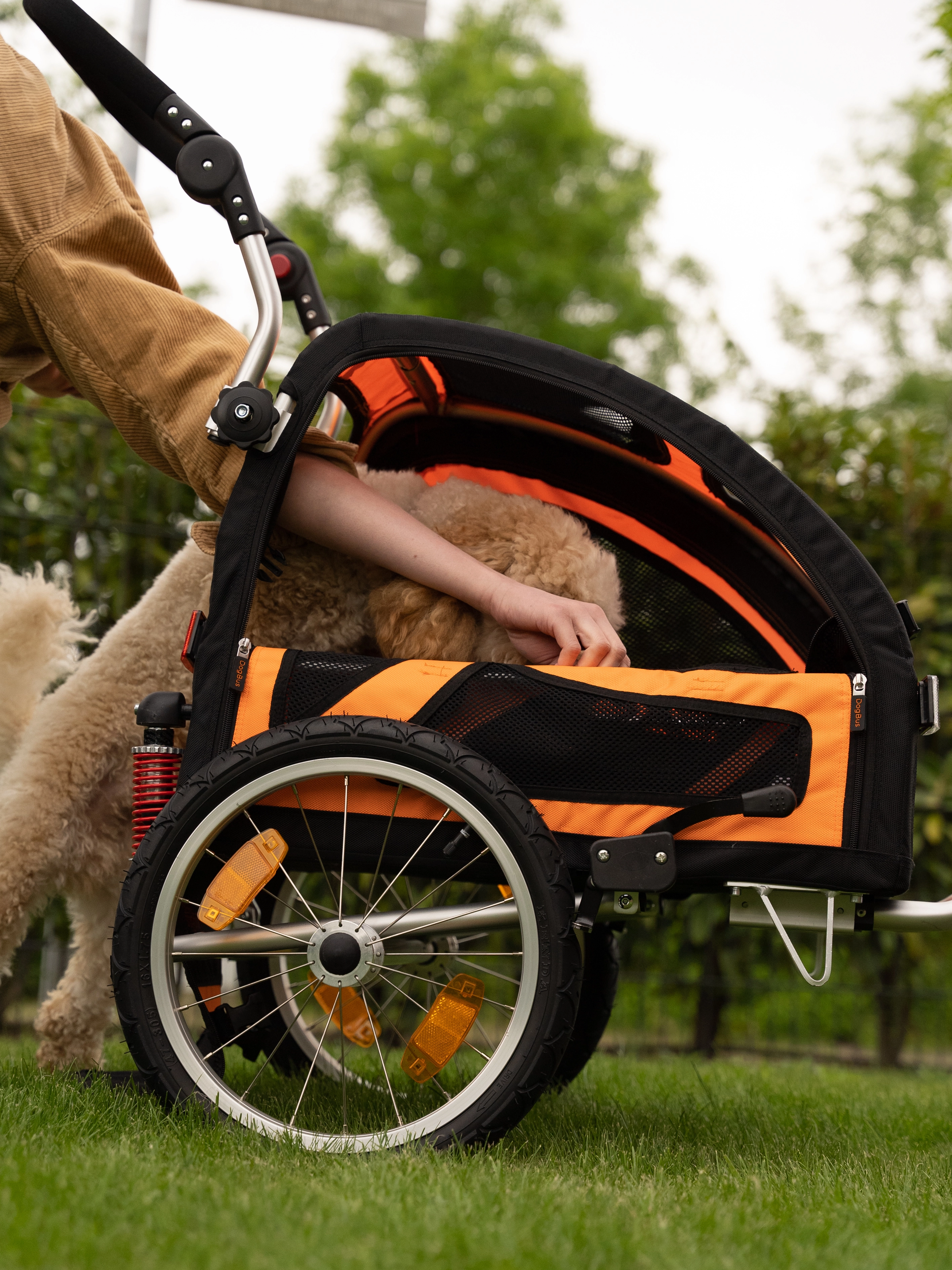 Bundle - DogBus S mit Stroller Kit