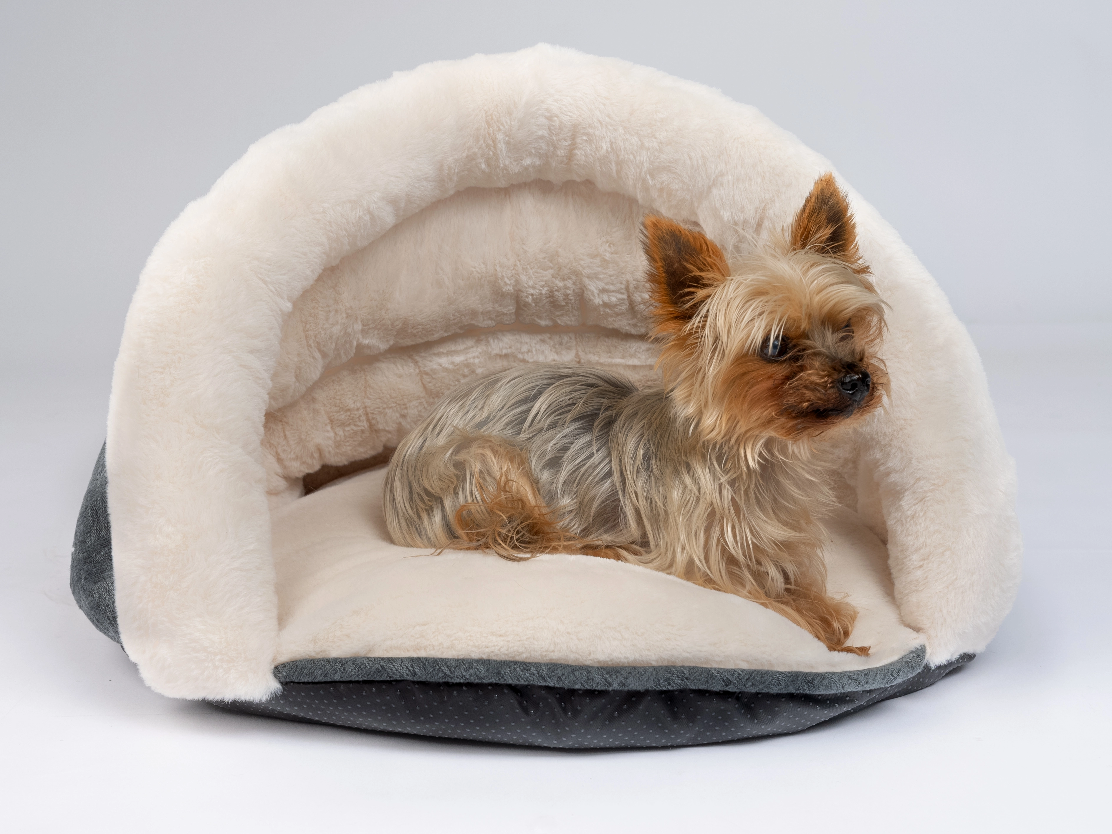 LunaSuite von TrendPet