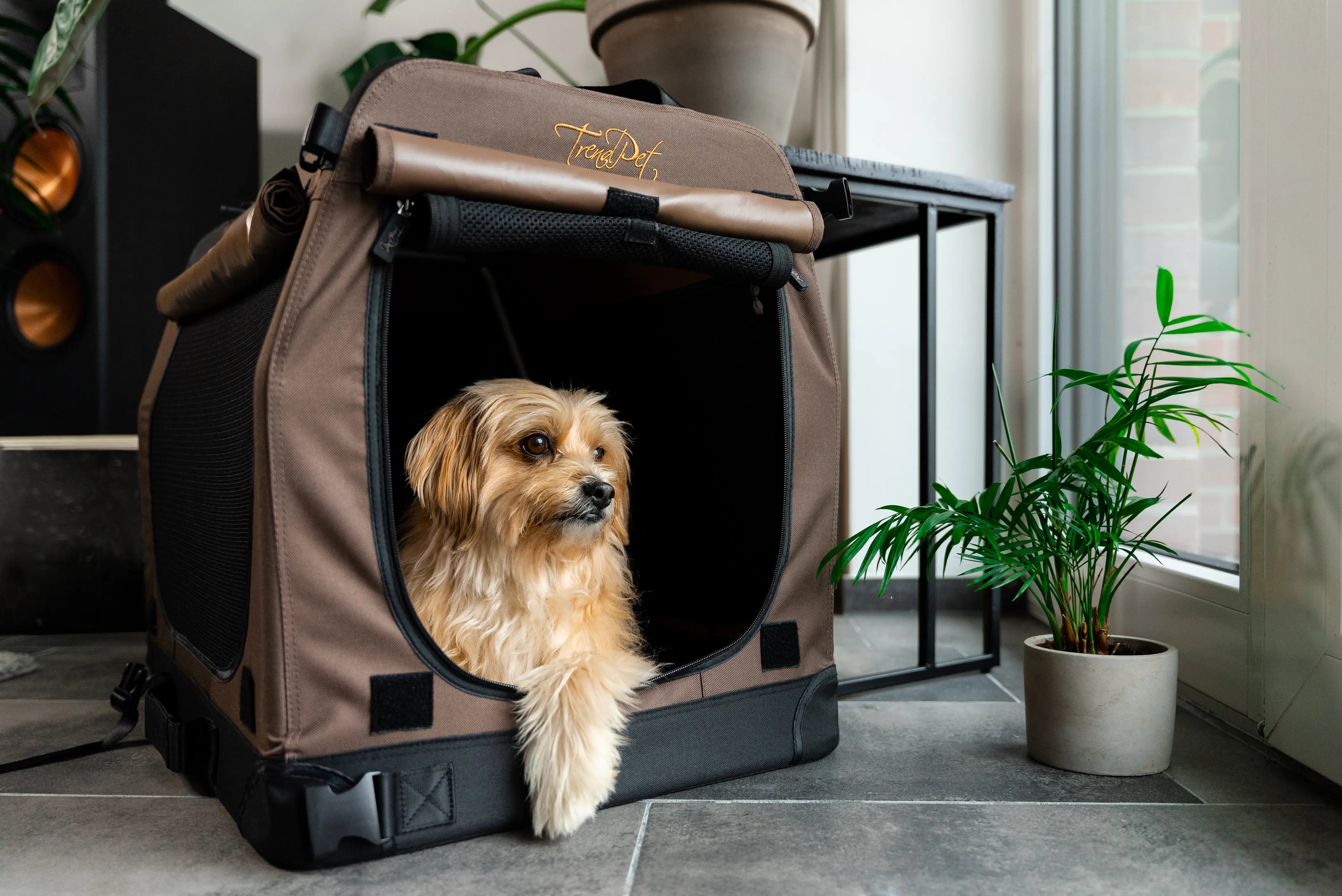 TPX-Hundebox von TrendPet