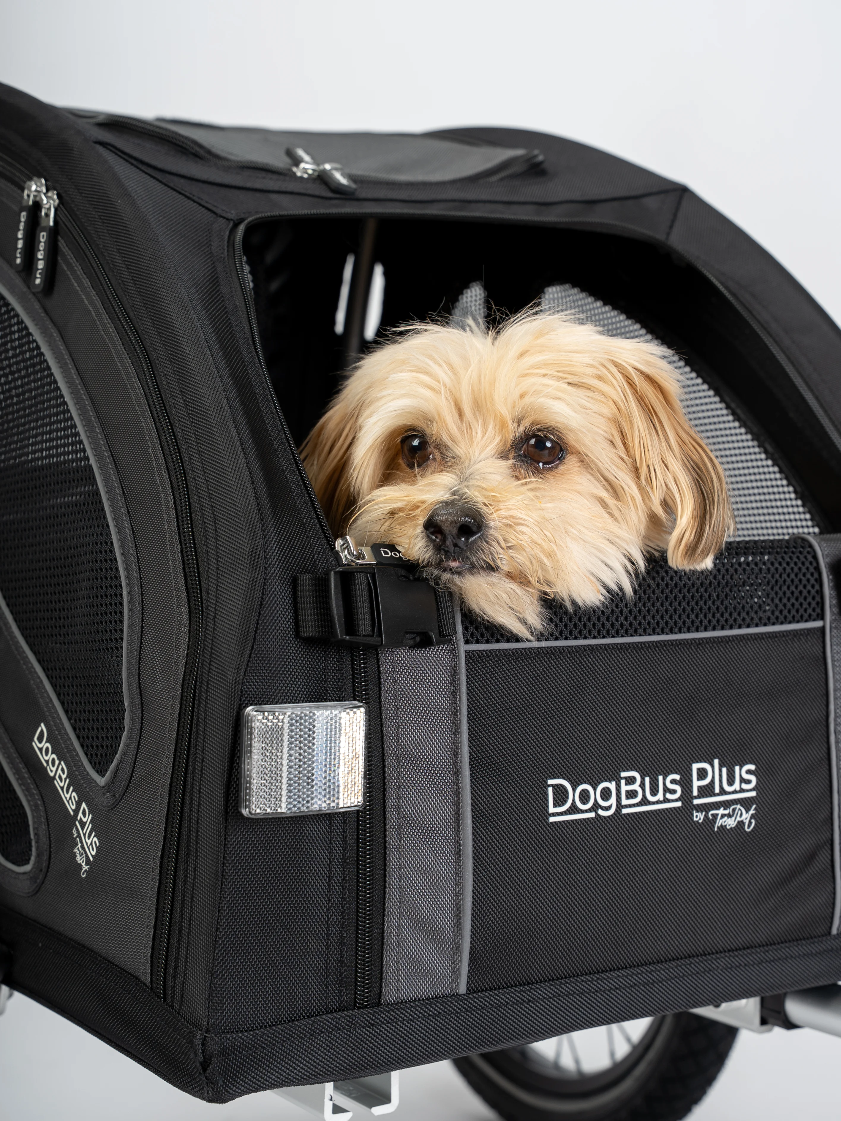 DogBus Plus L