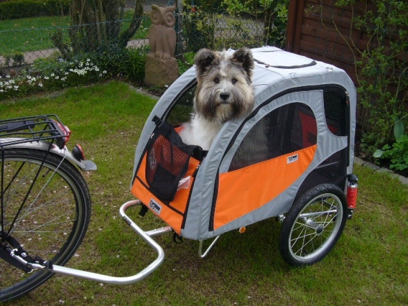 Comfort Wagon M