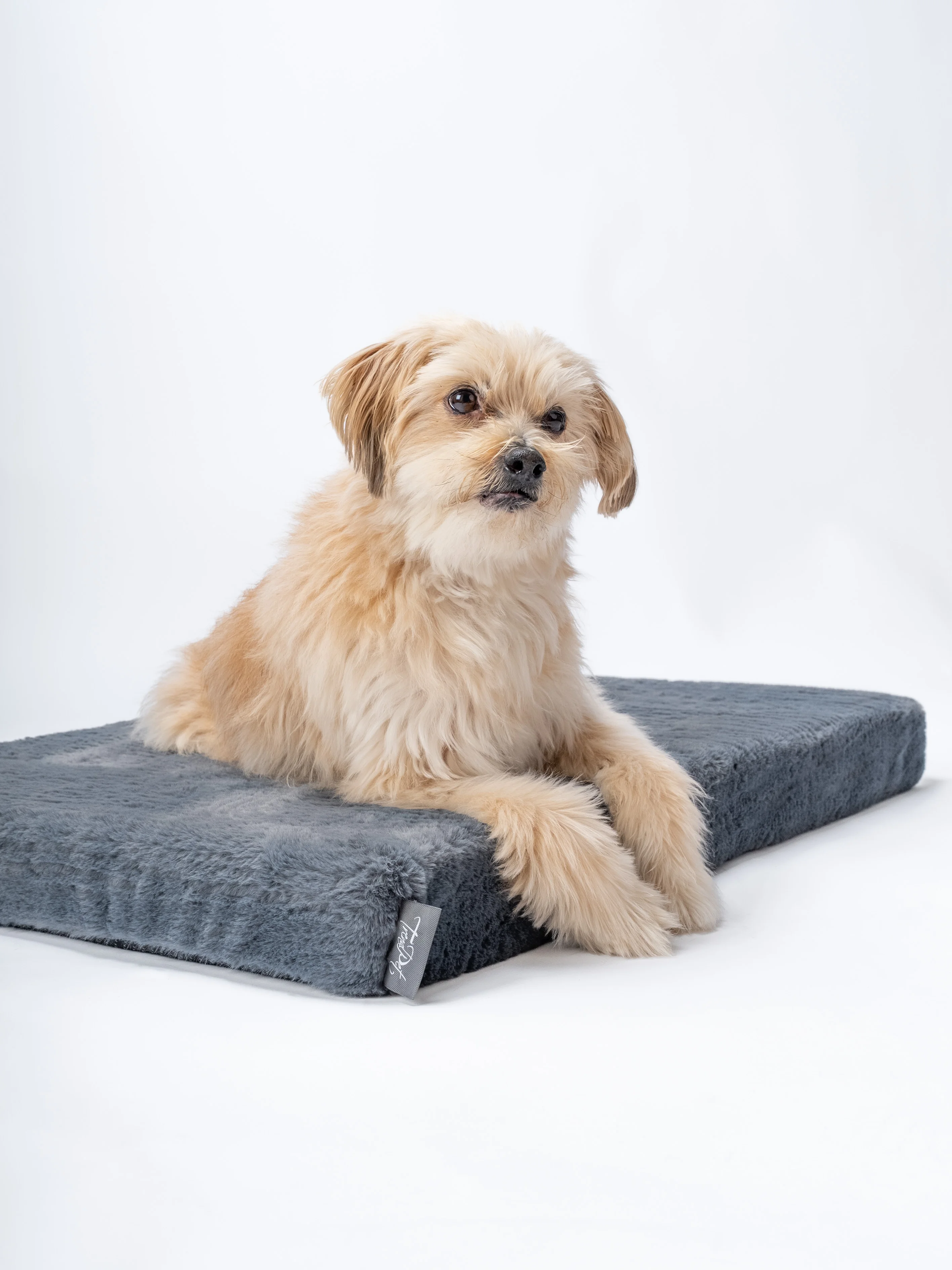 VitaMedog - 7 cm 