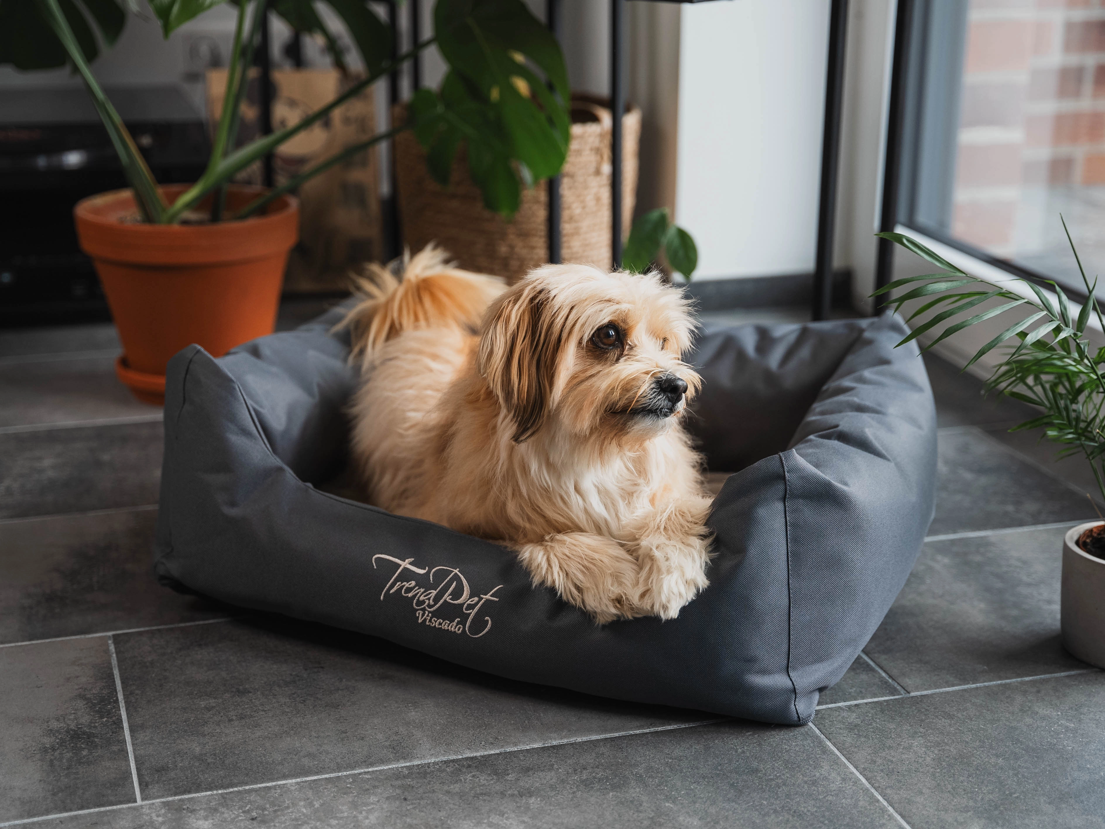 Hundebett Viscado von TrendPet