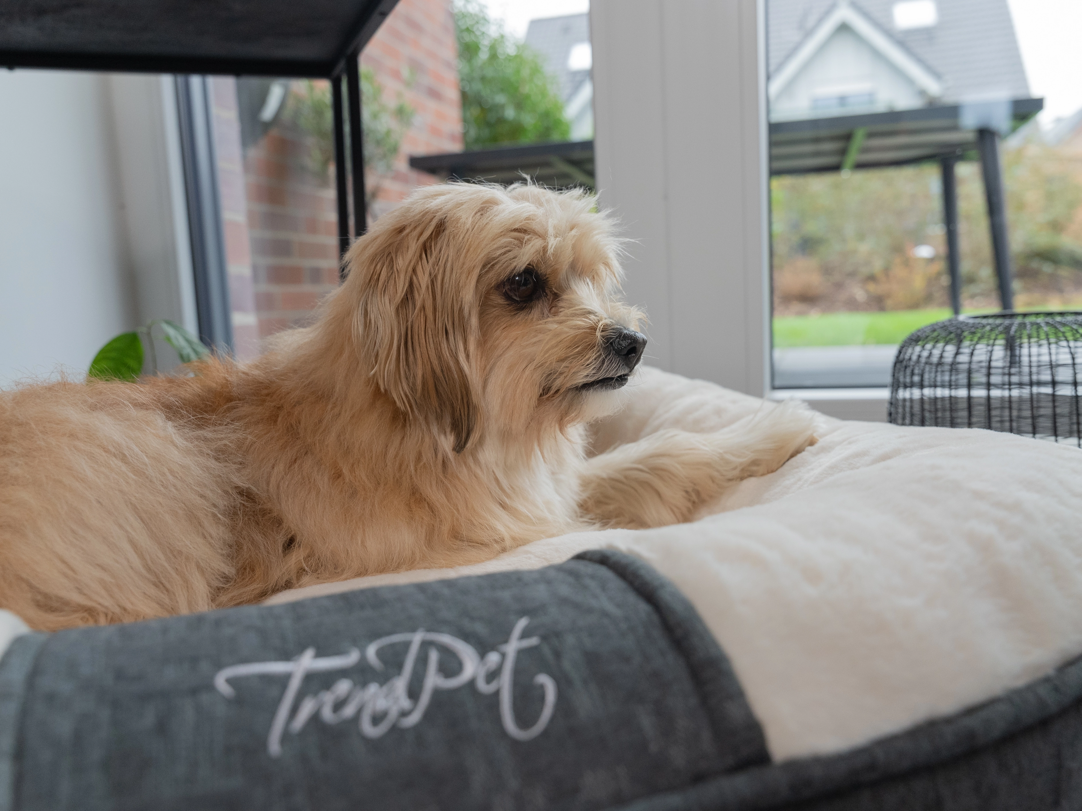 LunaLounge von TrendPet