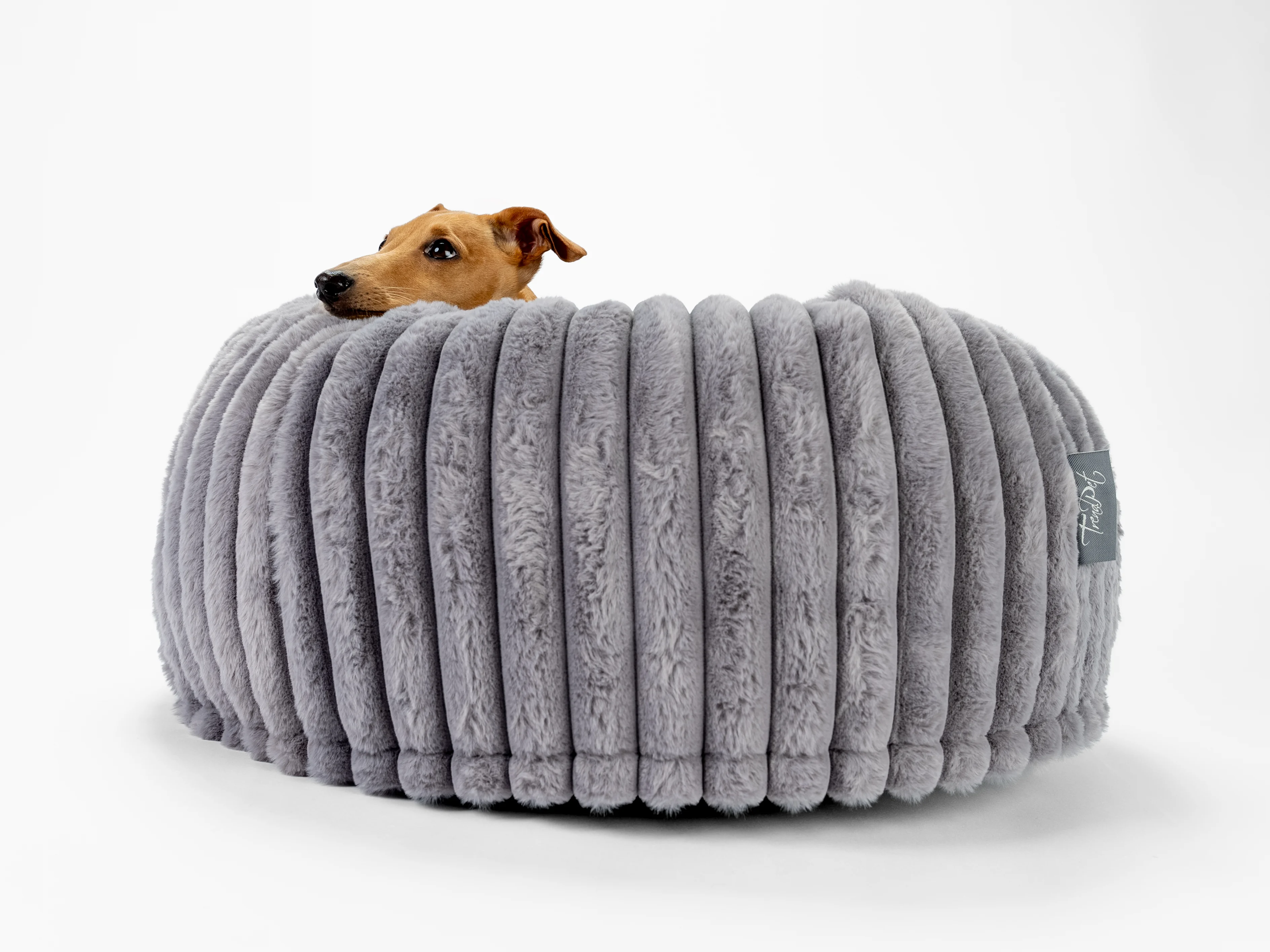 Hund liegt im Biscuit Spot