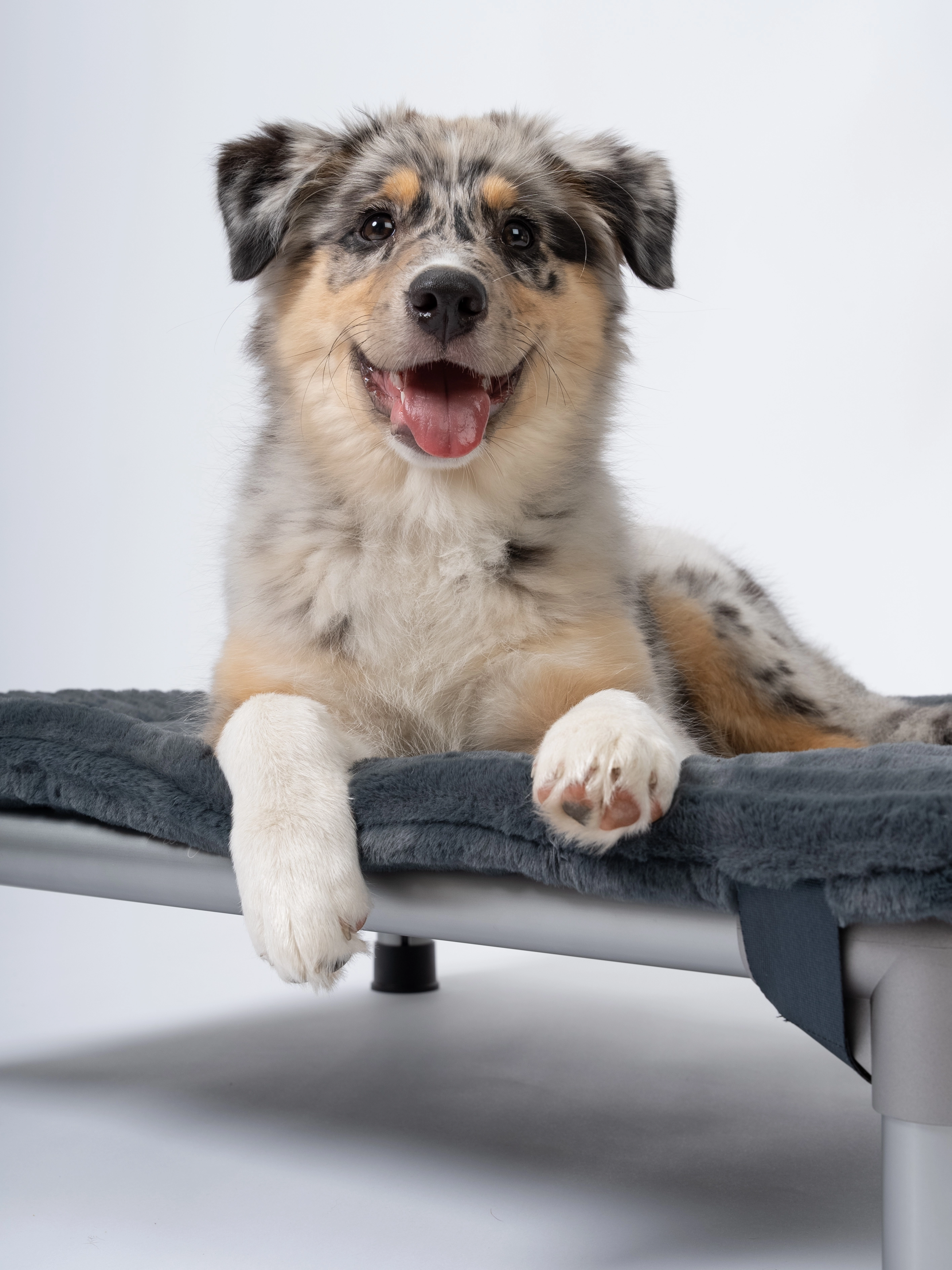 Harmony kuschelige Wendedecke passend zum HighBed von TrendPet für Hunde