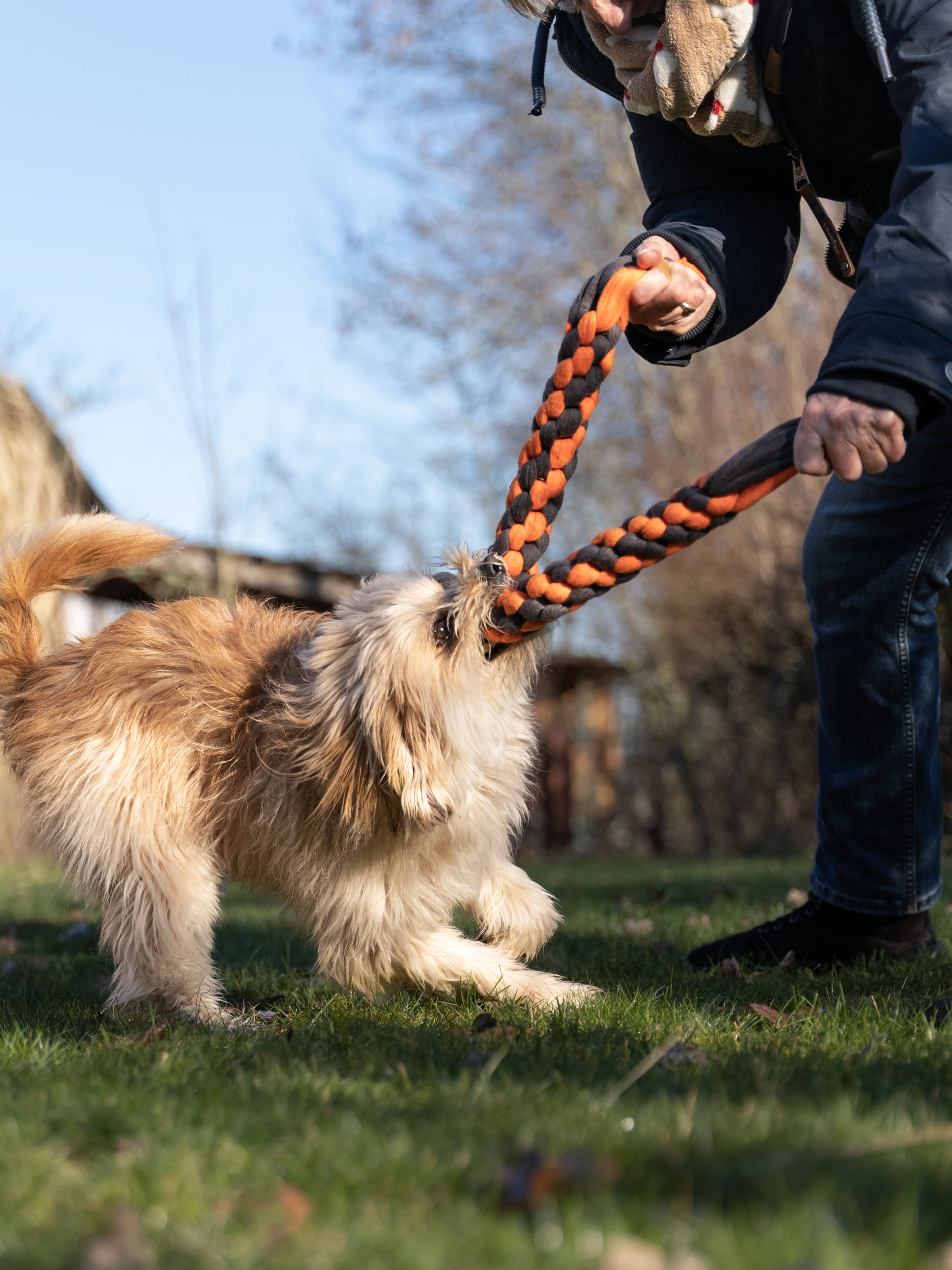 Zergel Hundespielzeug von TrendPet
