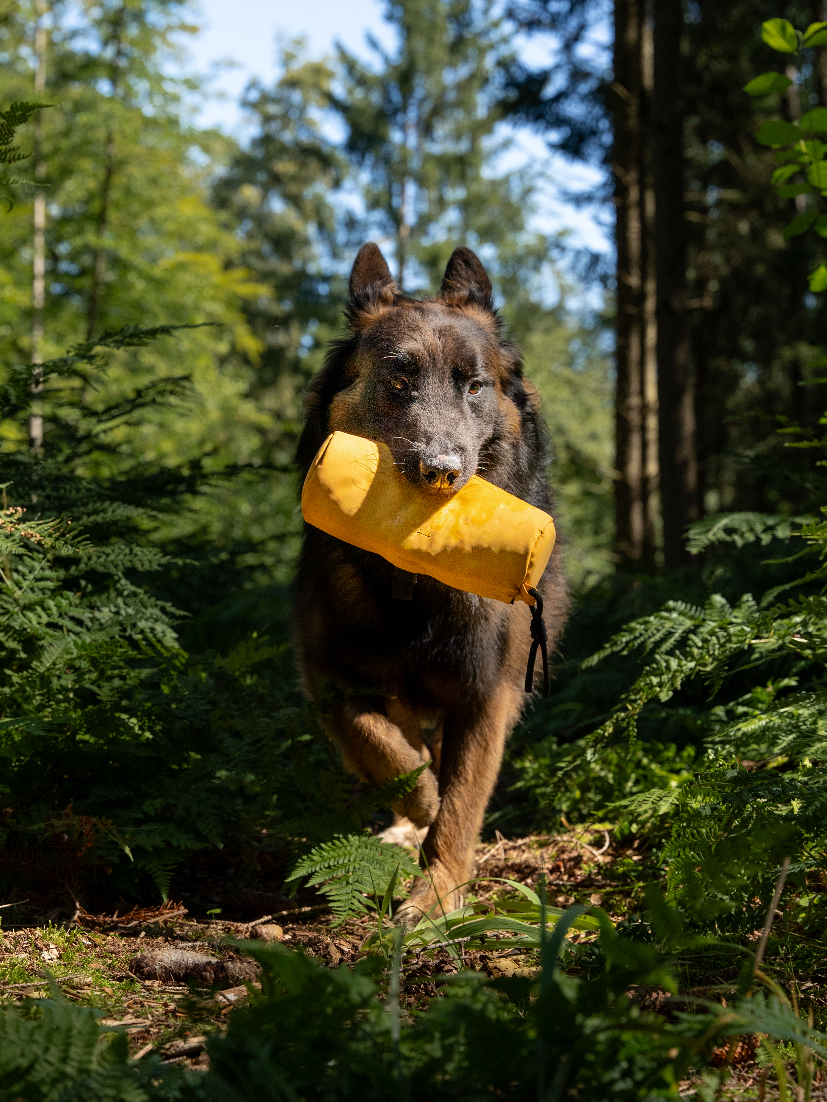 Futterdummy Kurt von TrendPet