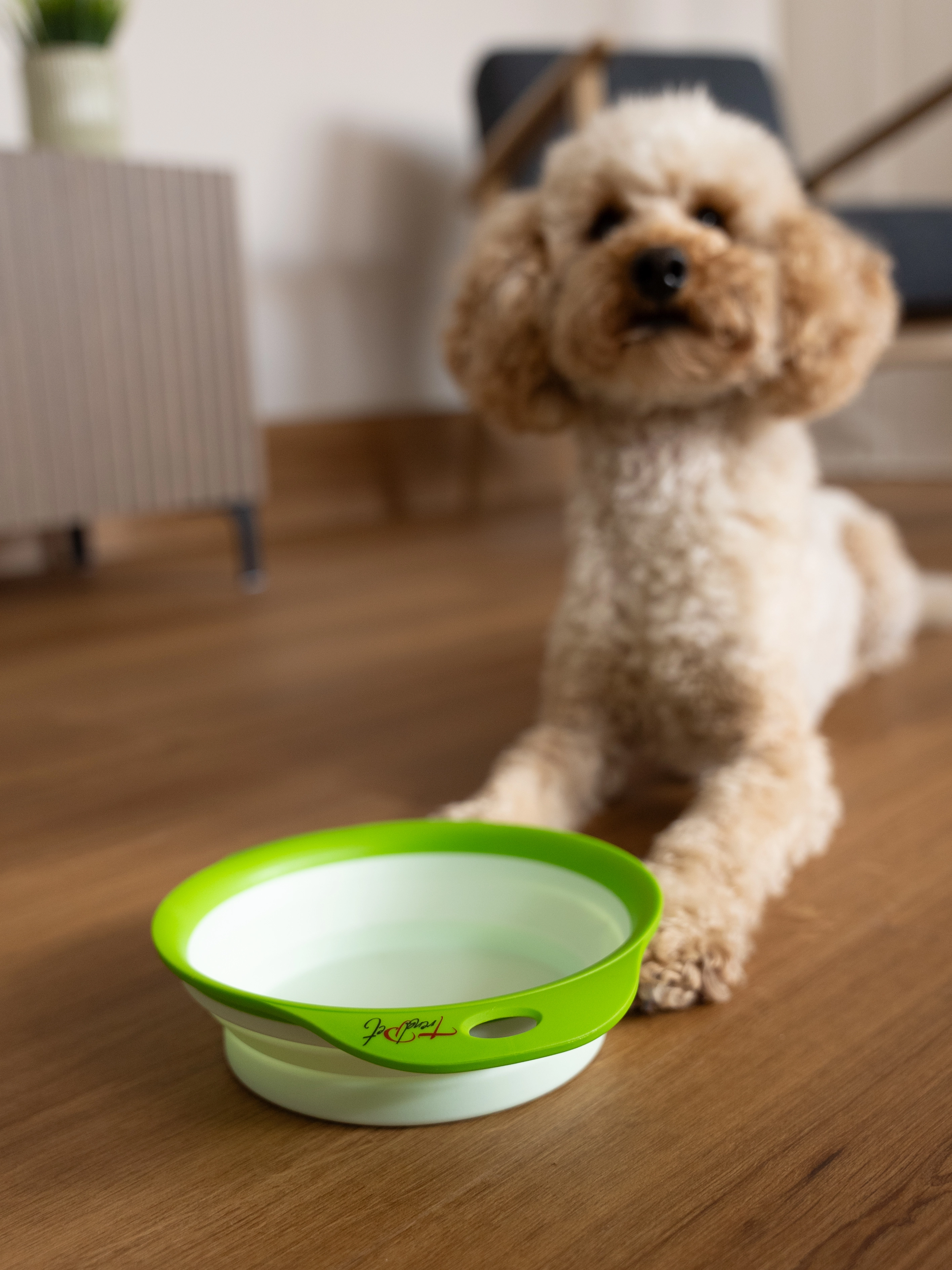 faltbarer Napf Travellino von TrendPet