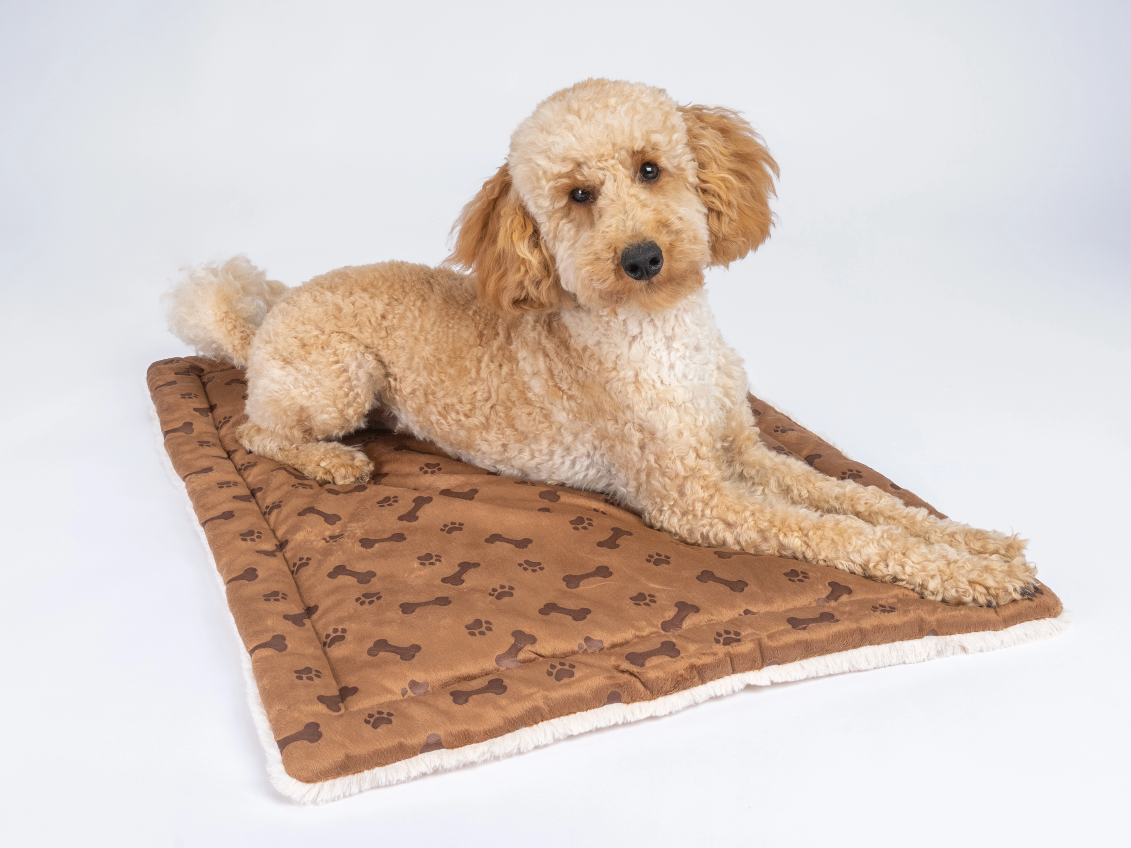 Relax Liegedecke TrendPet