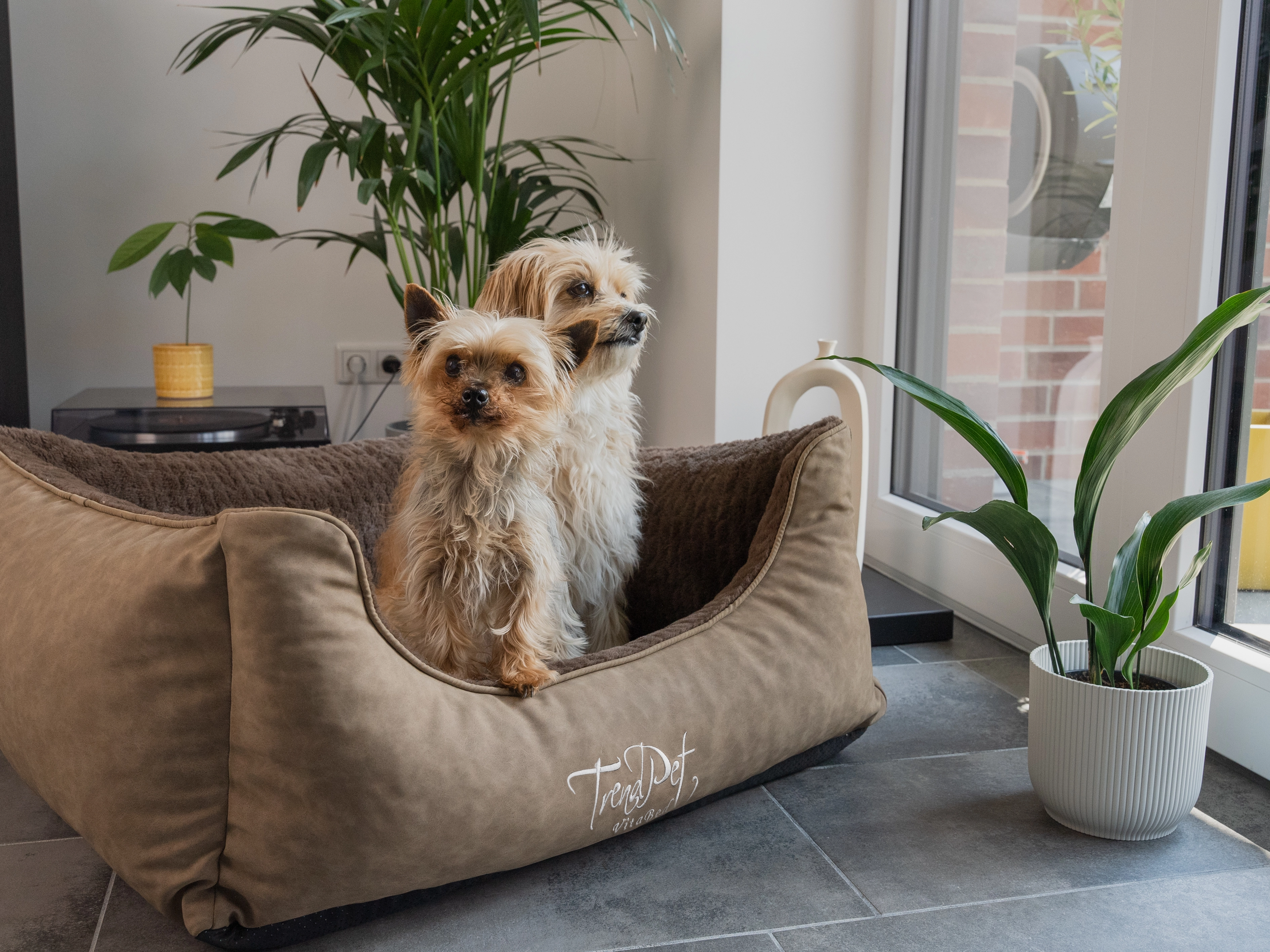 Hundebett VitaBed Style von TrendPet