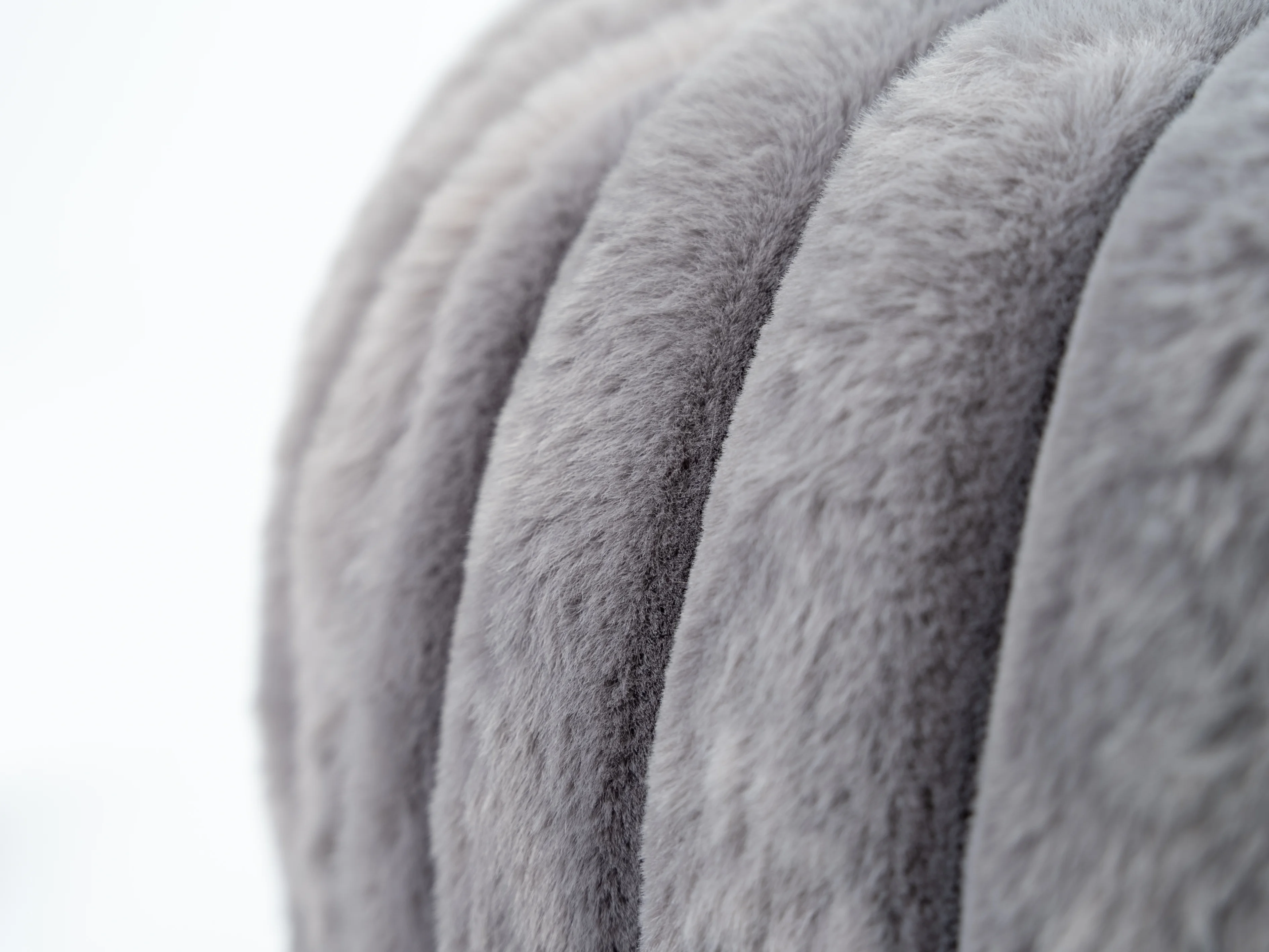 Biscuit Spot von TrendPet