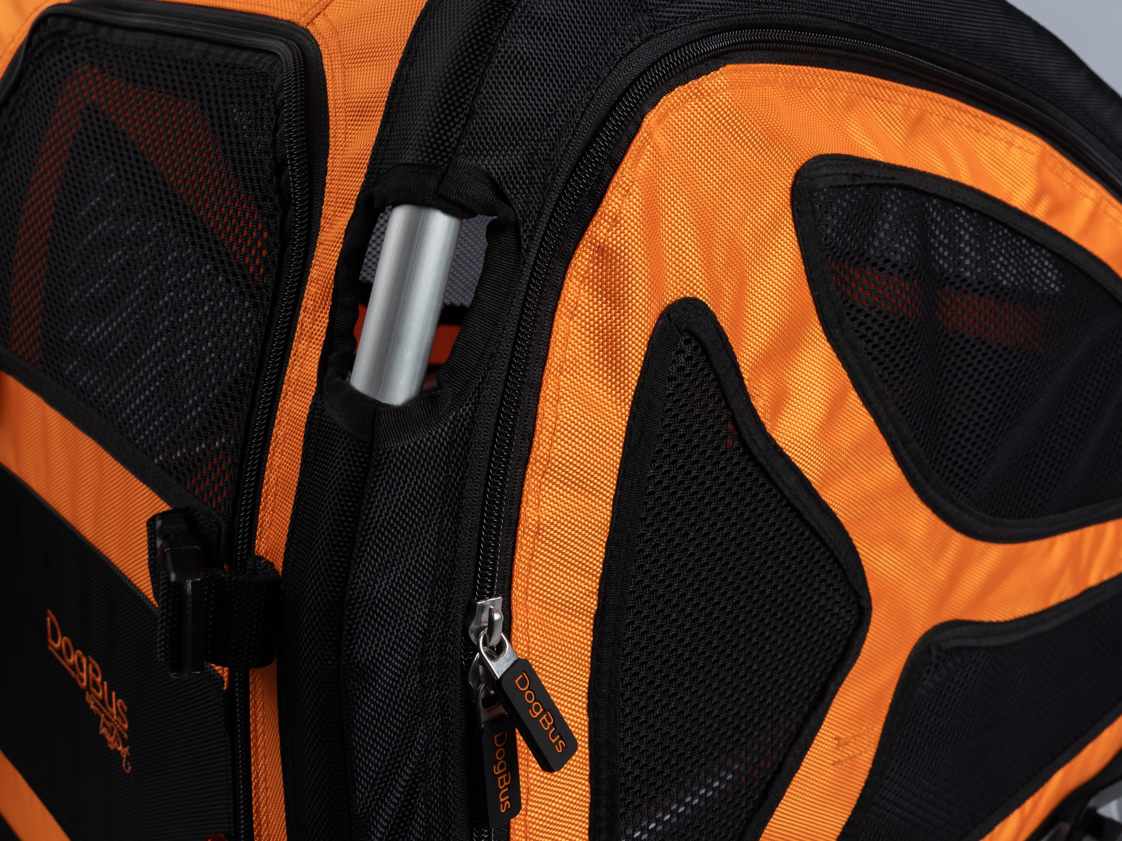 TrendPet DogBus Fahrradanhänger für Hunde