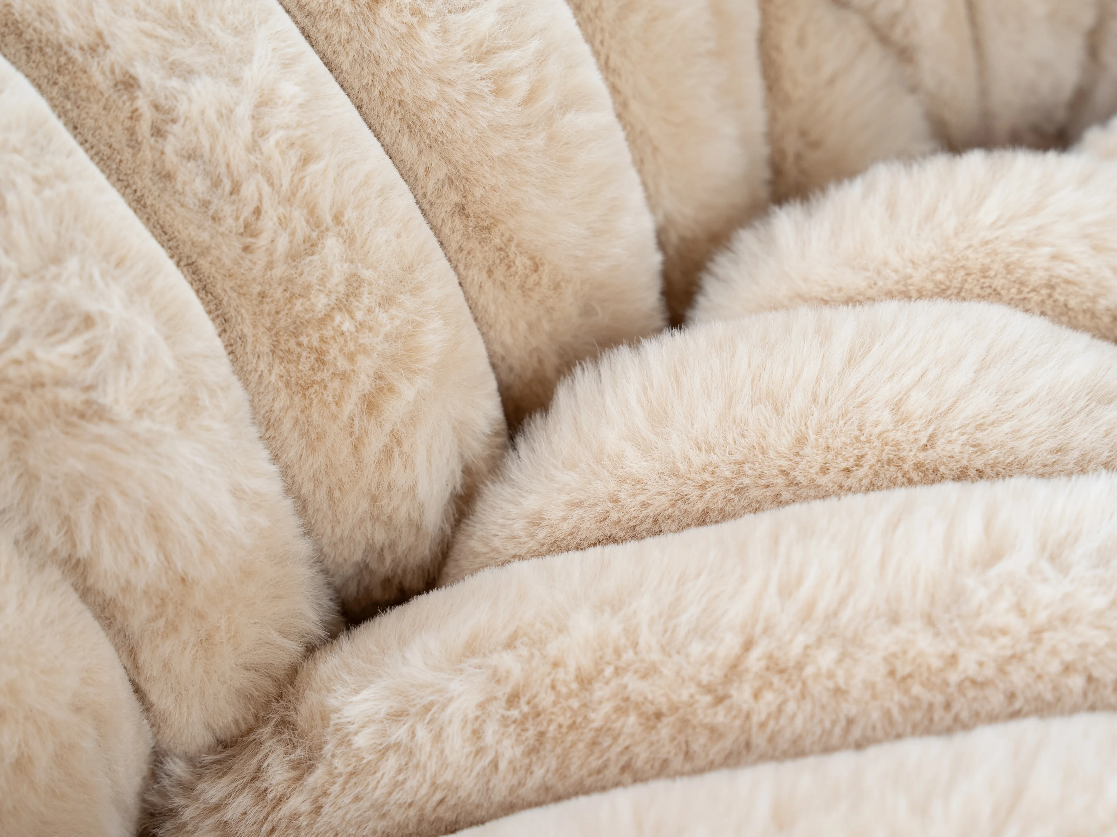 Biscuit Spot von TrendPet