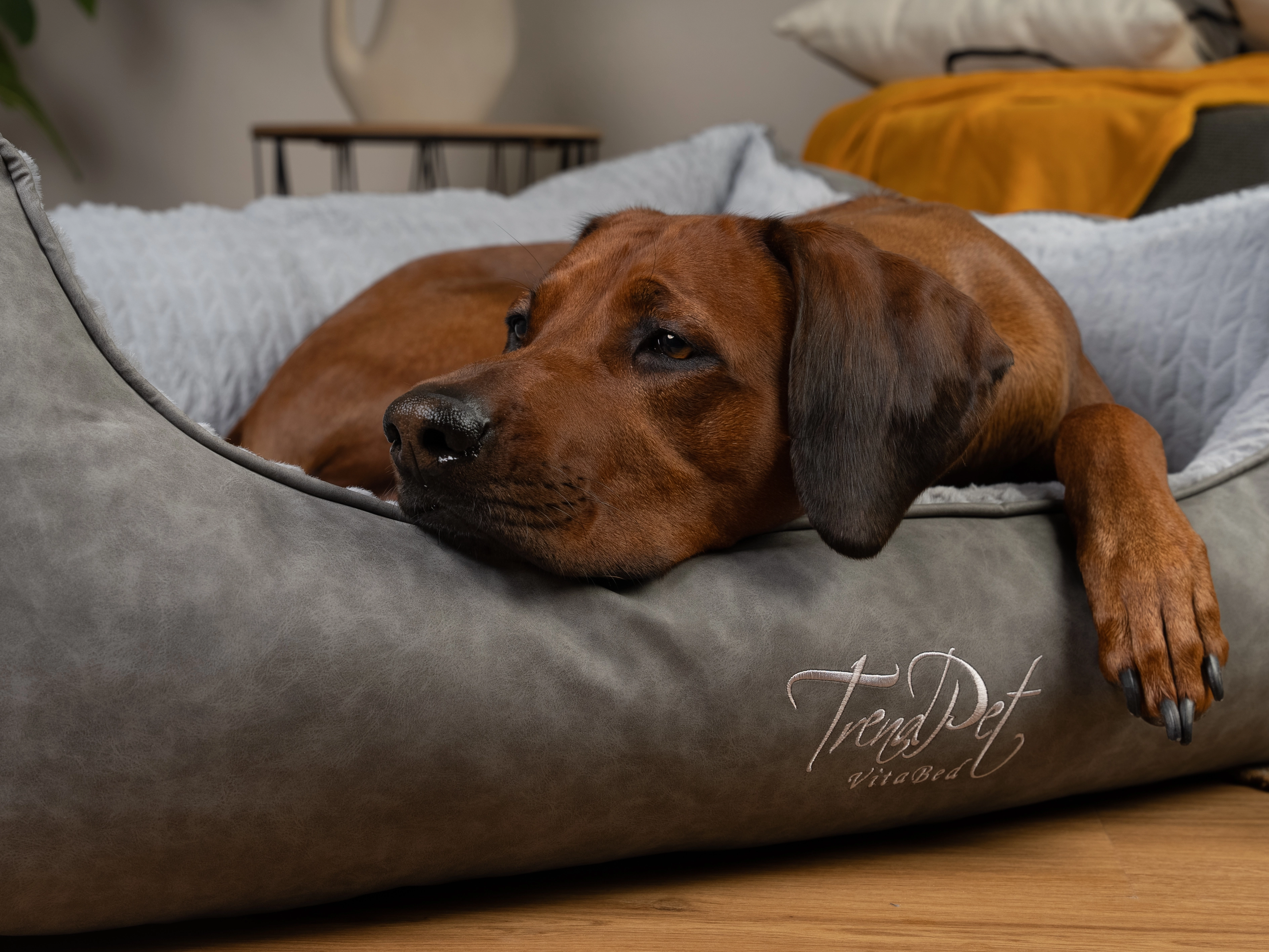 Hundebett VitaBed Style von TrendPet