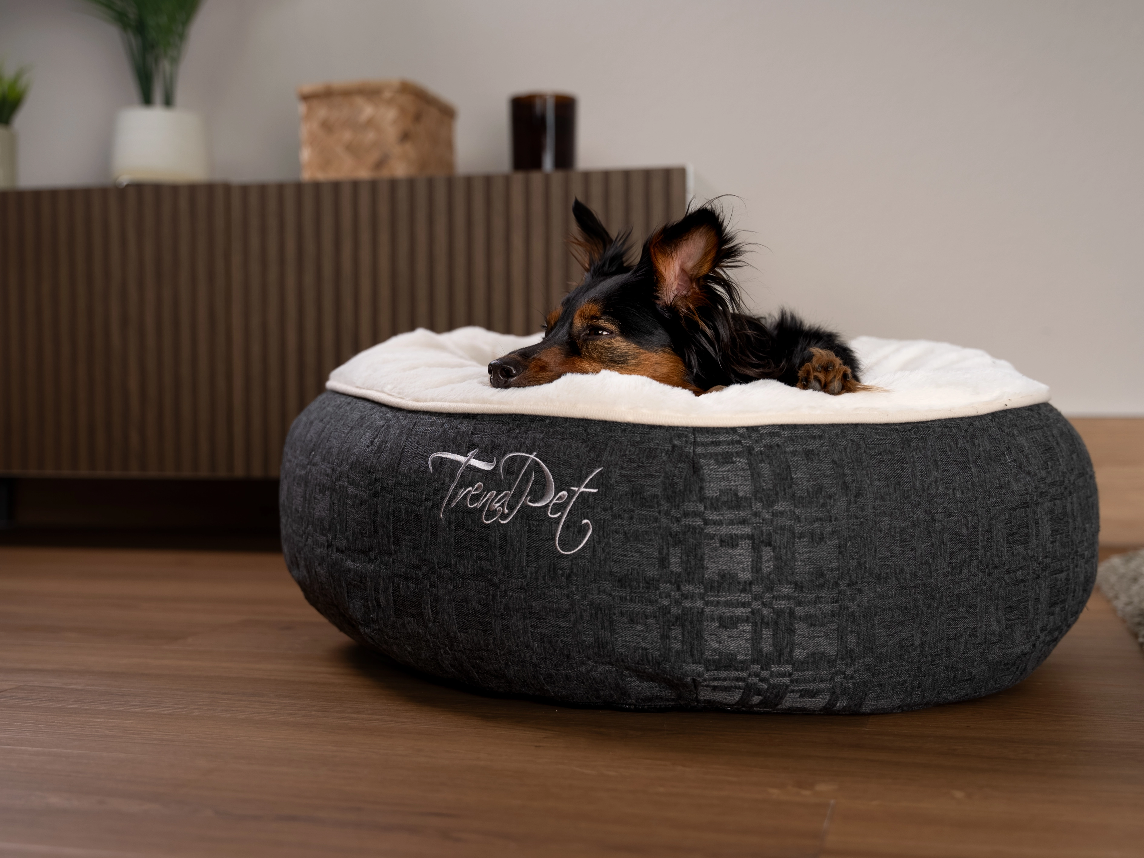 Hund liegt im LunaBed von TrendPet