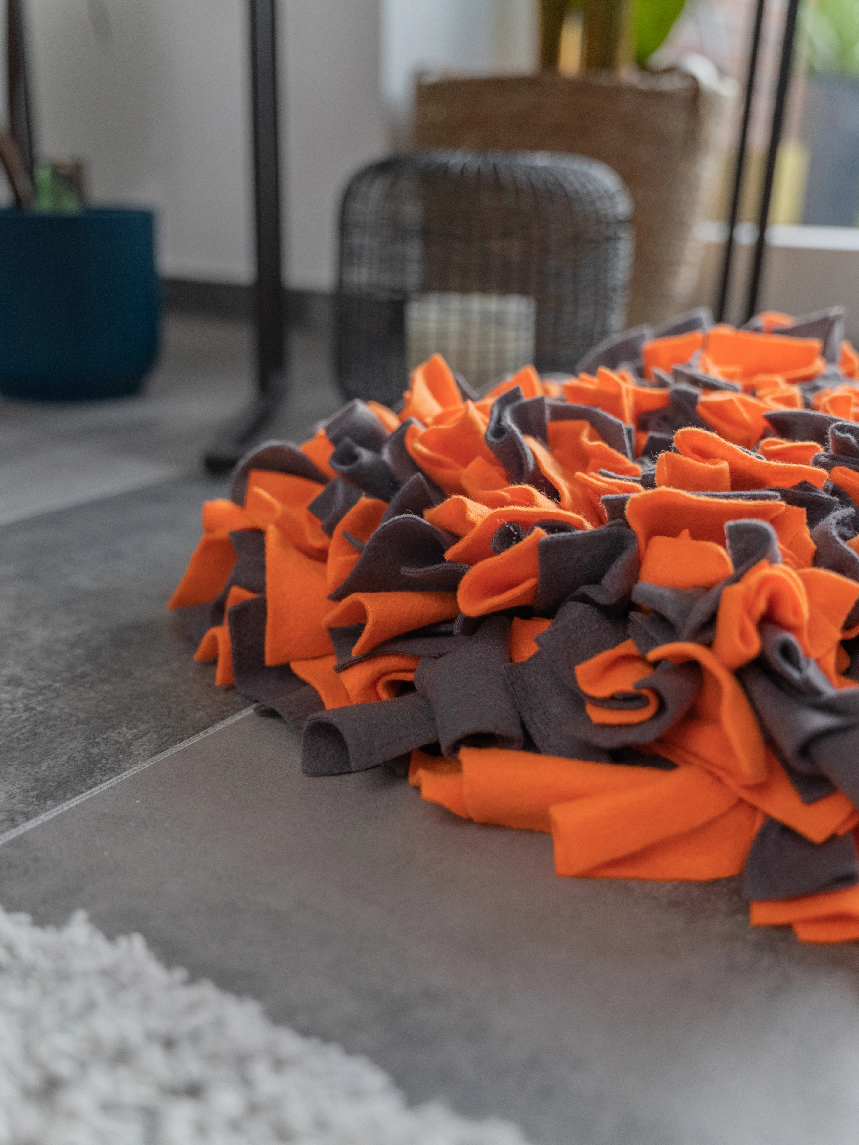 Schnueffelteppich von TrendPet