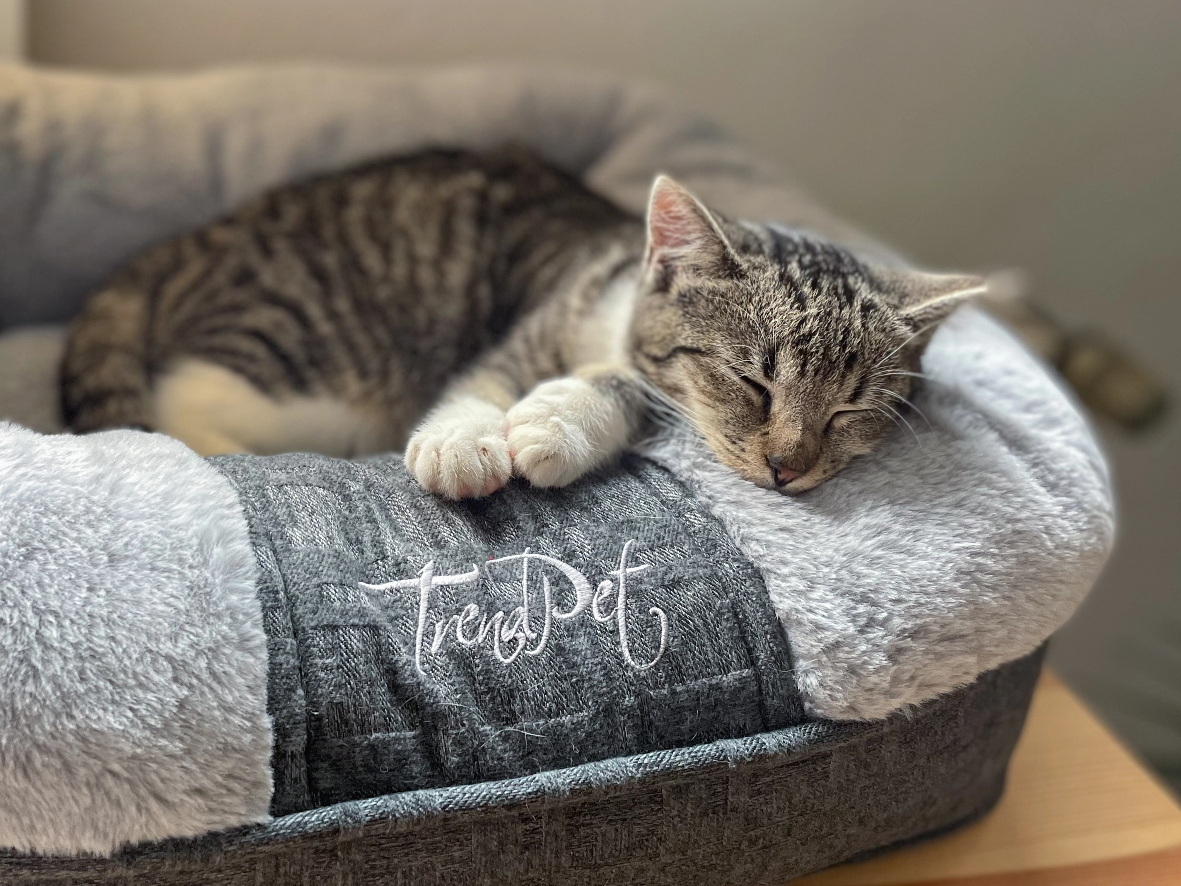 LunaLounge von TrendPet