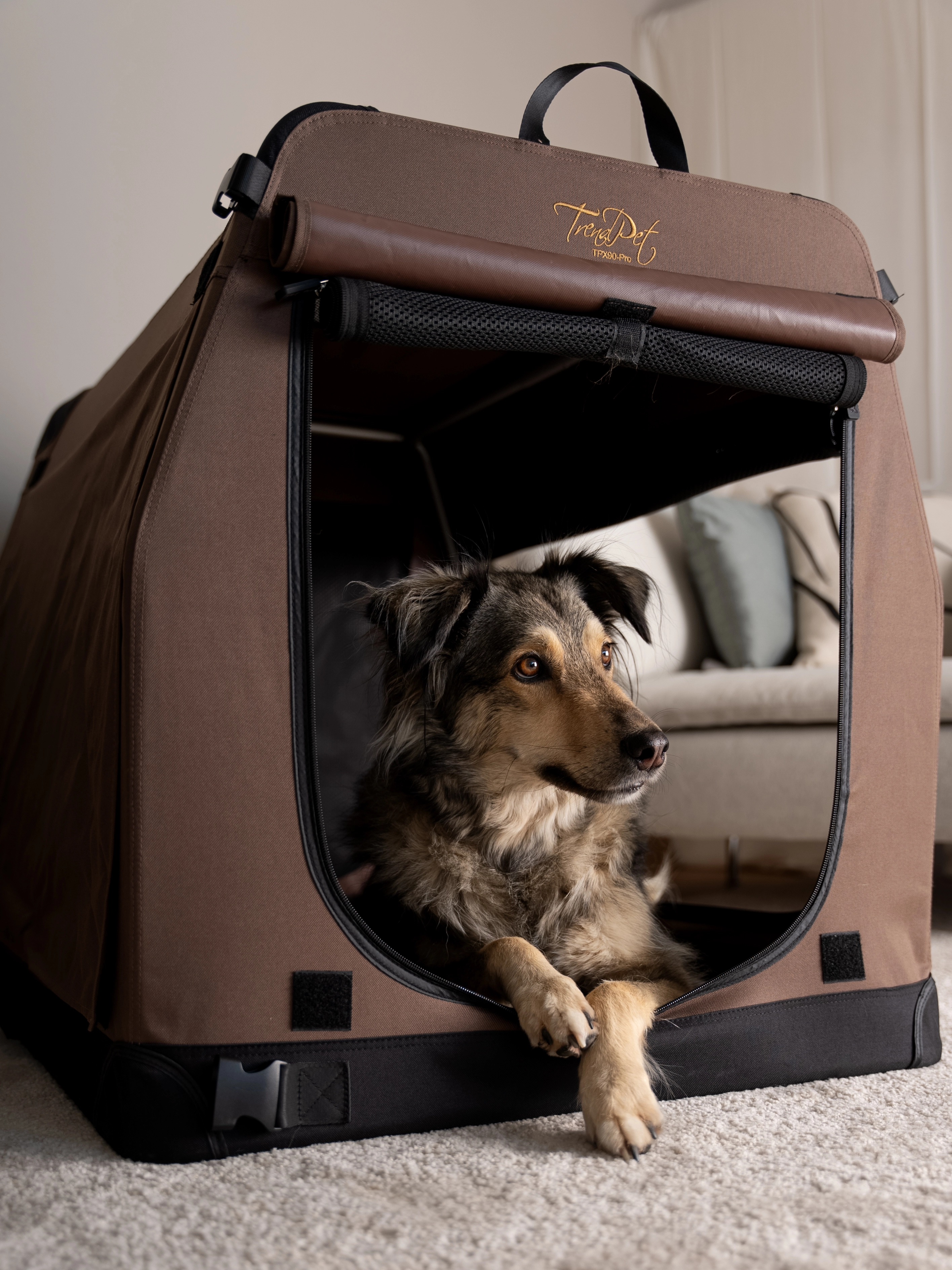 TPX-Hundebox von TrendPet