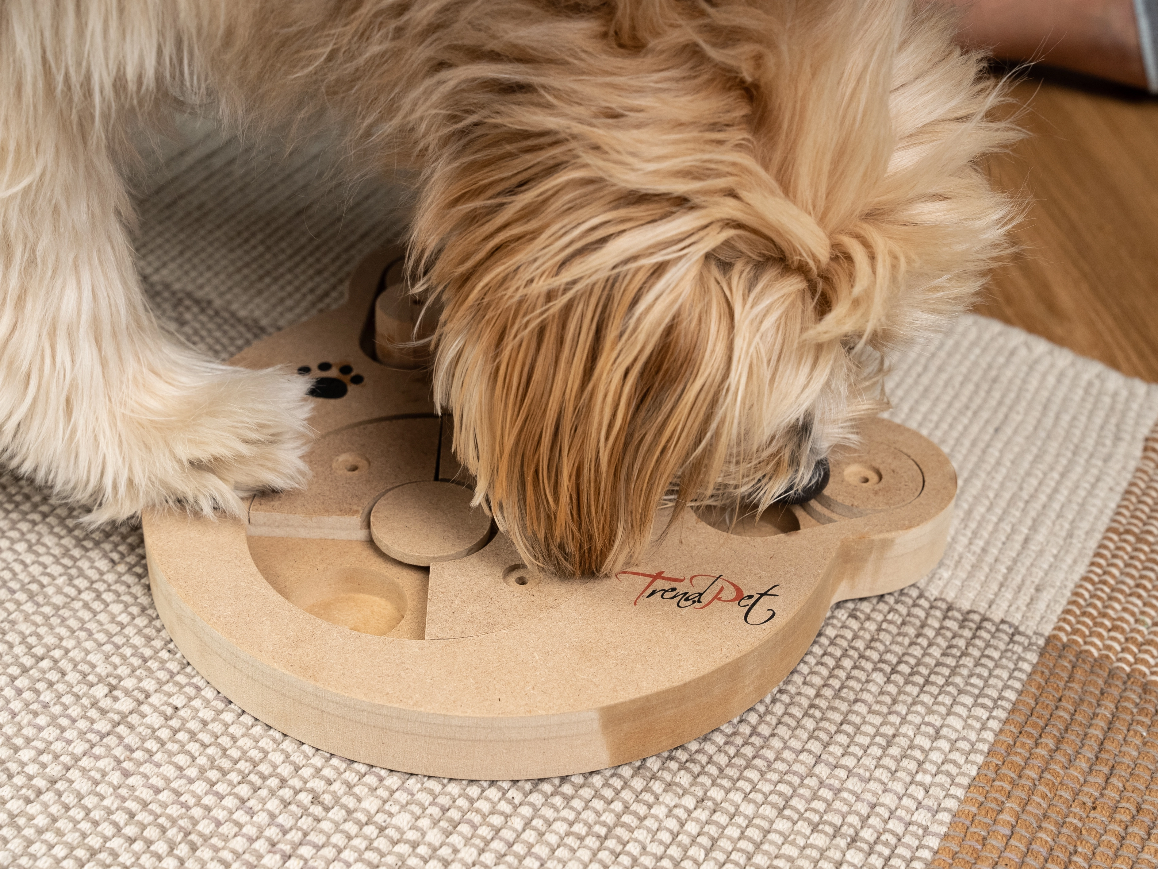 Intelli von TrendPet