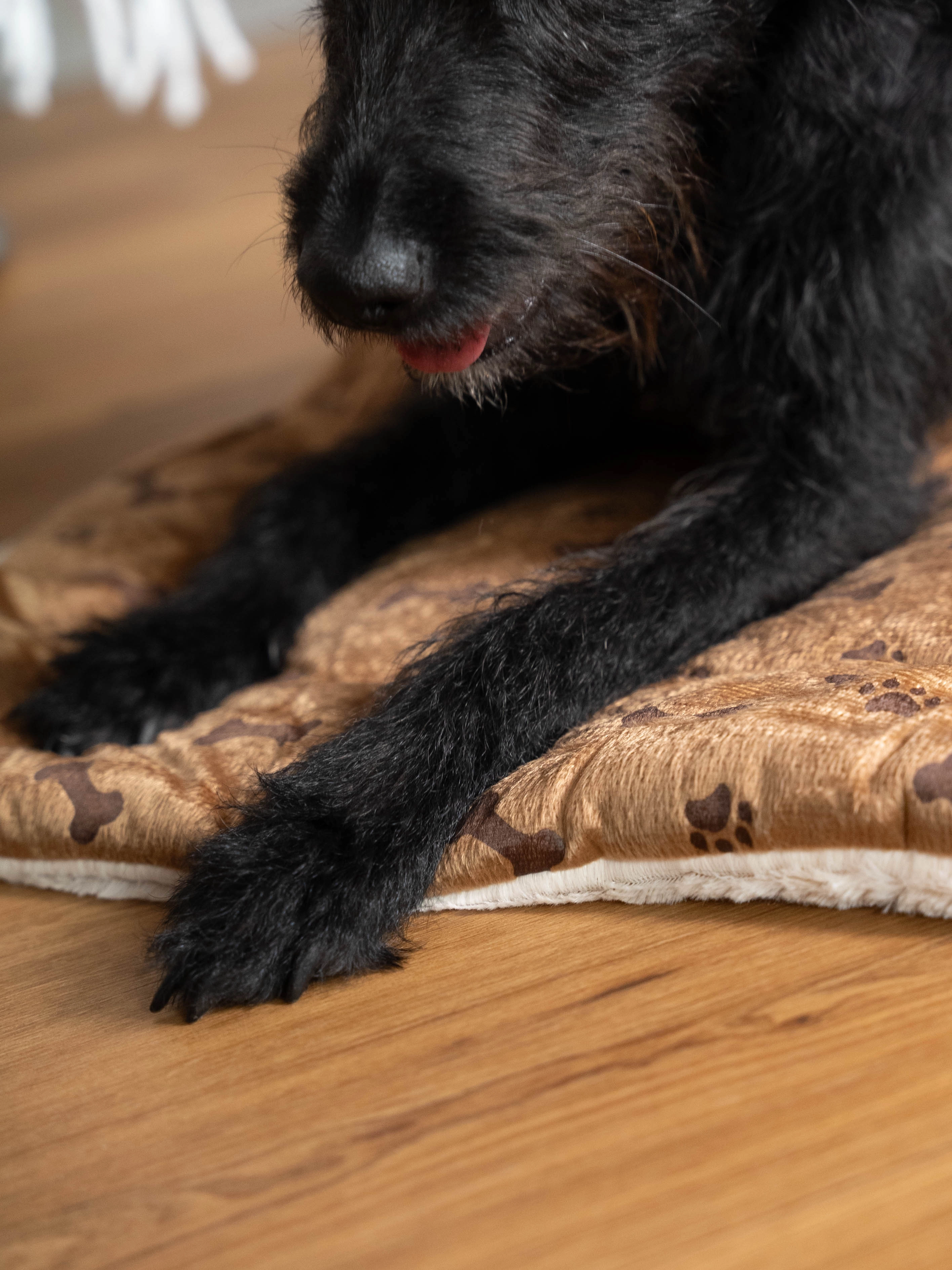 Relax Wendedecke TrendPet