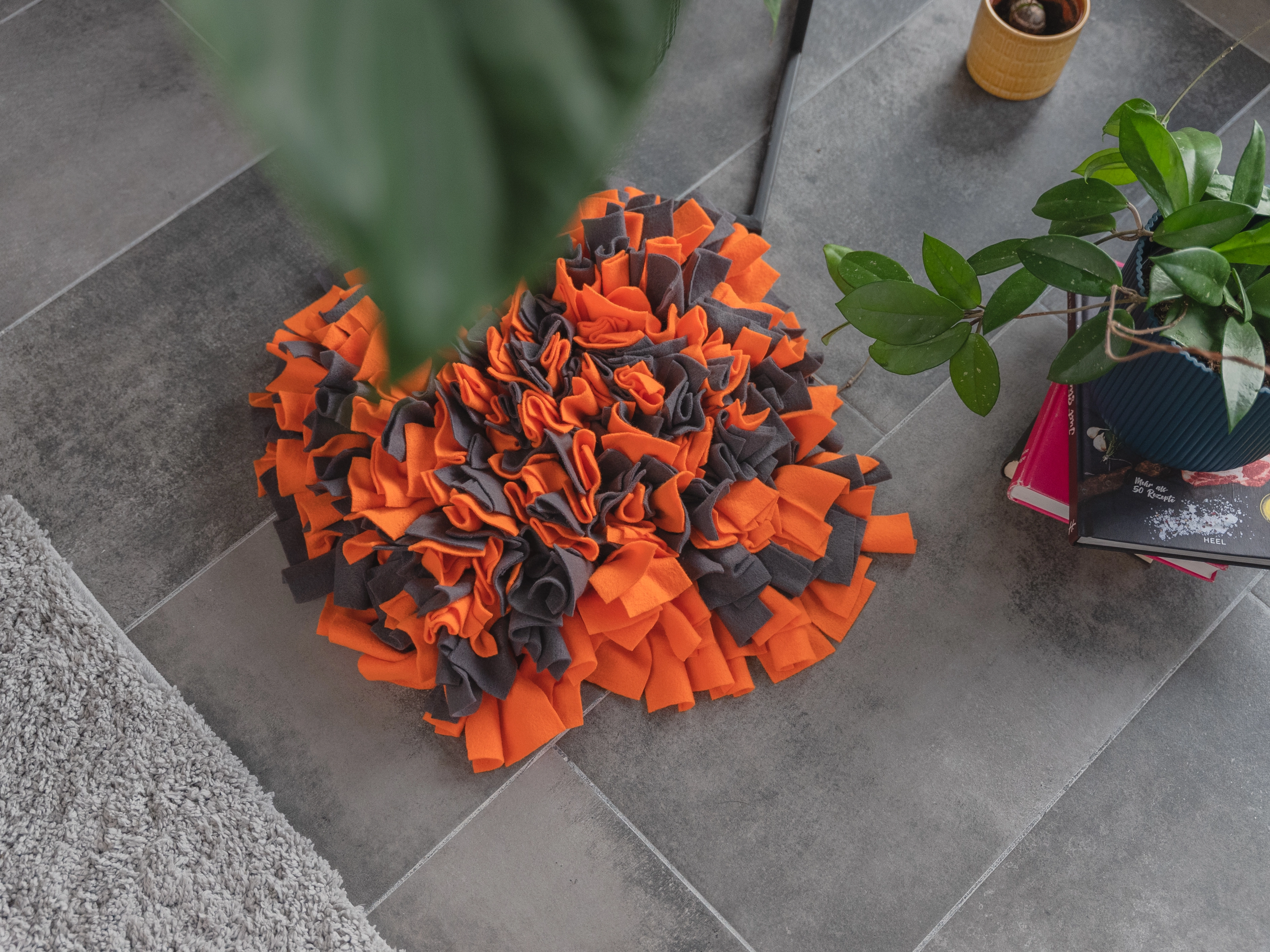 Schnueffelteppich von TrendPet