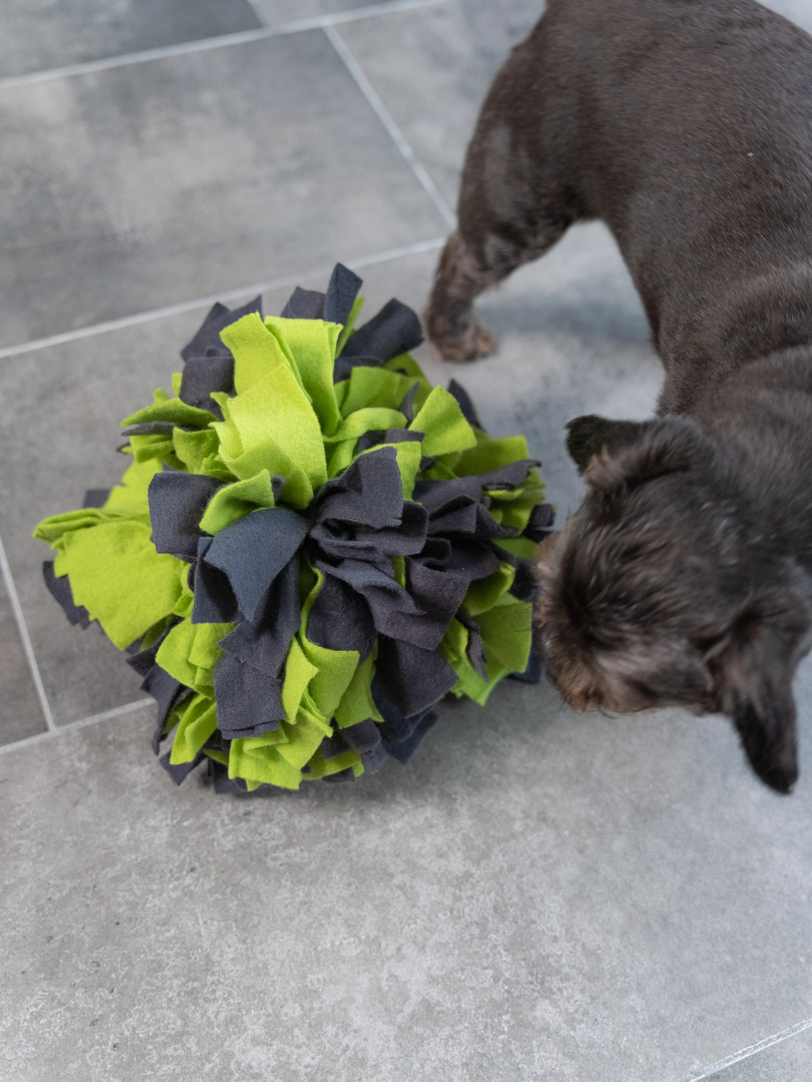 Schnüffelball von TrendPet