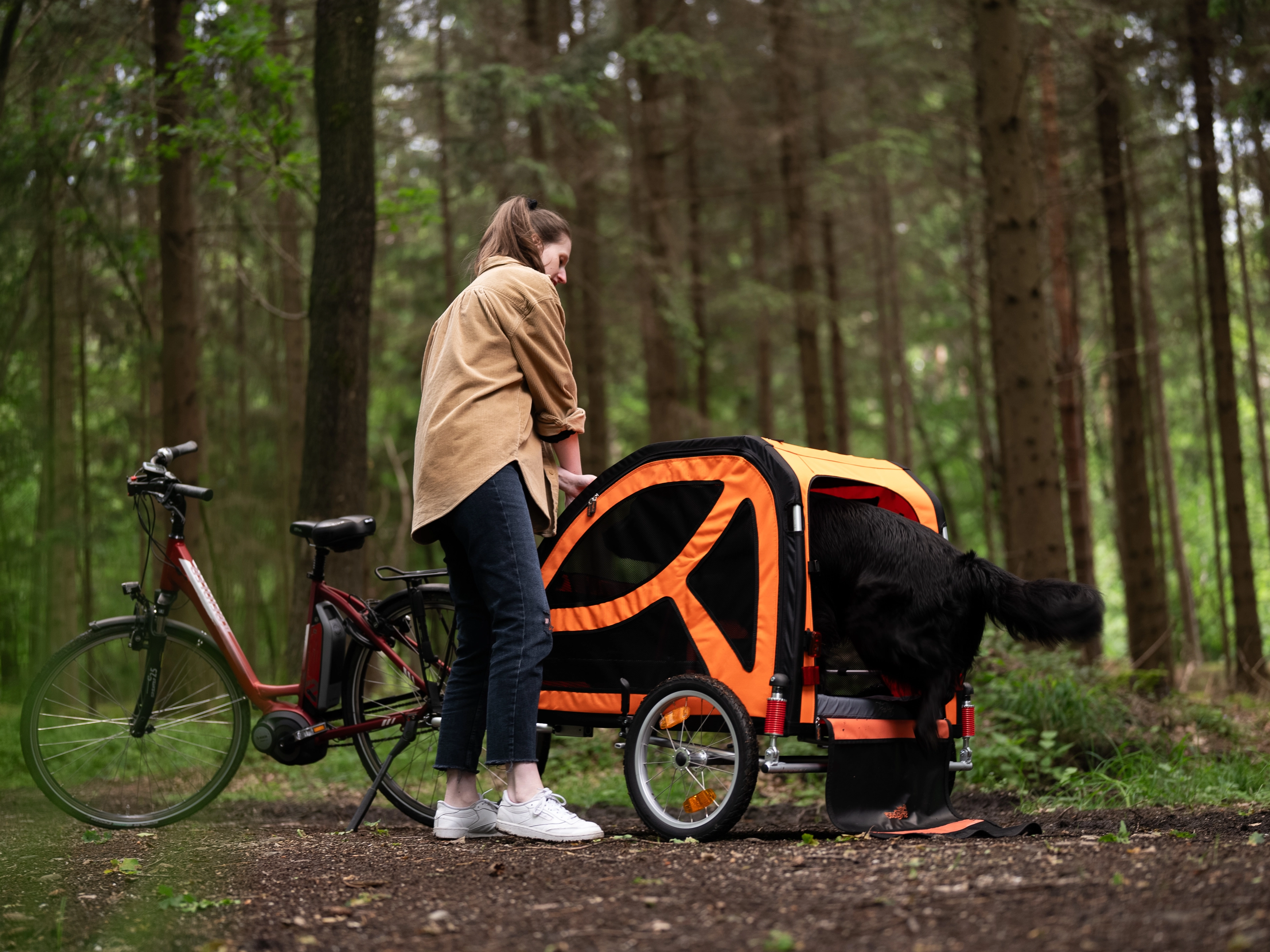 auf einem Waldweg steht eine Frau neben ihren Fahrrad und DogBus und lässt einen Hund durch die geöffnete hintere Öffnung in den Anhänger einsteigen