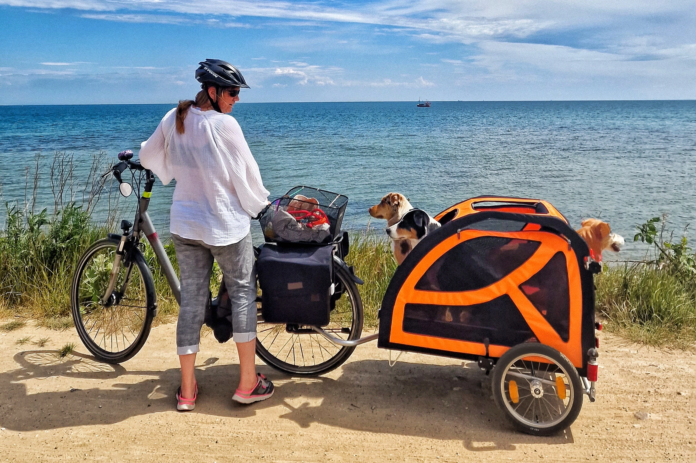 TrendPet DogBus Fahrradanhänger für Hunde