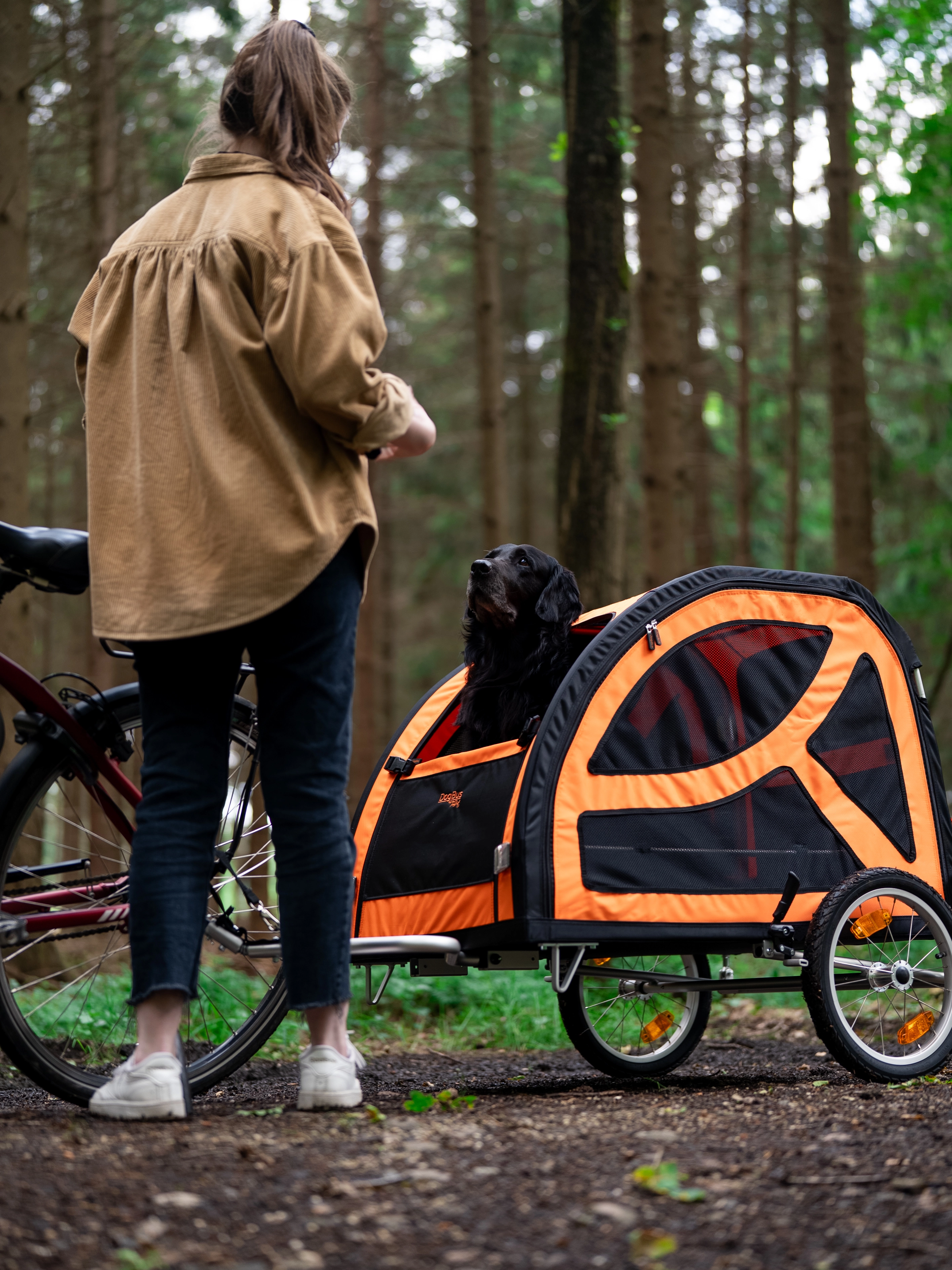 ein Hund guckt aus der halboffenen vorderen Öffnung des stehenden DogBus heraus 