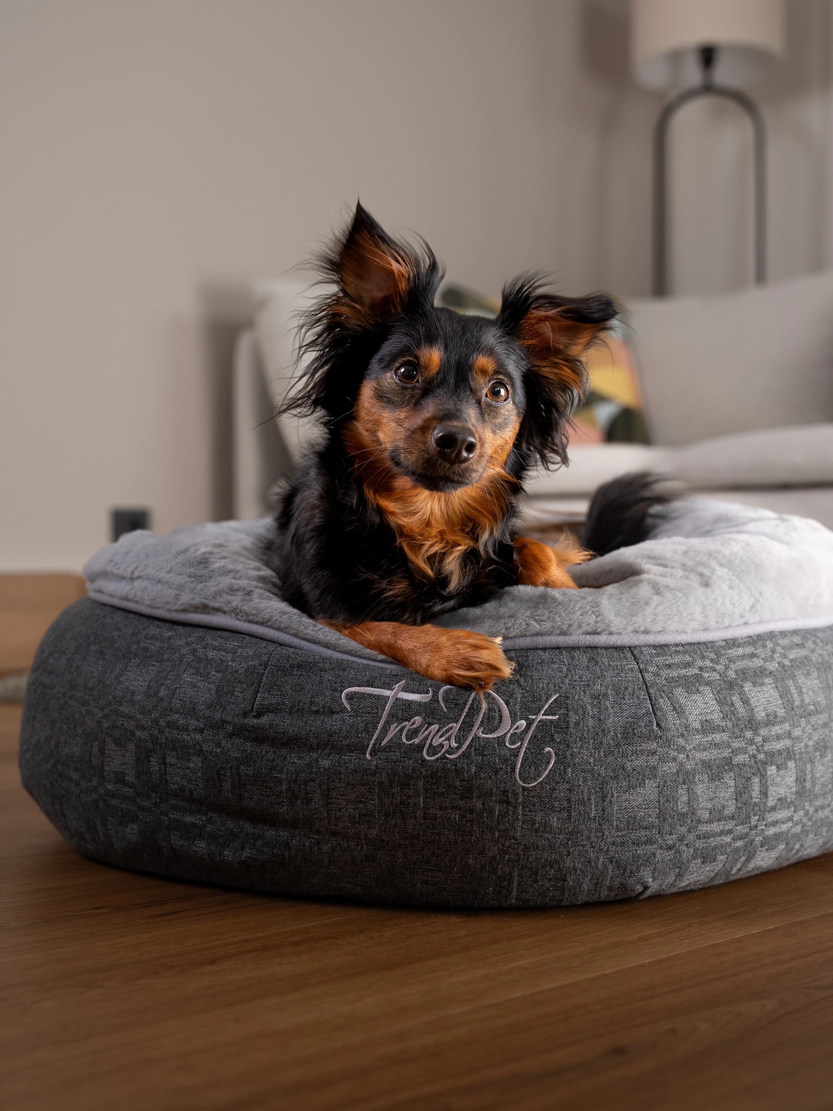 Hund liegt im LunaBed von TrendPet